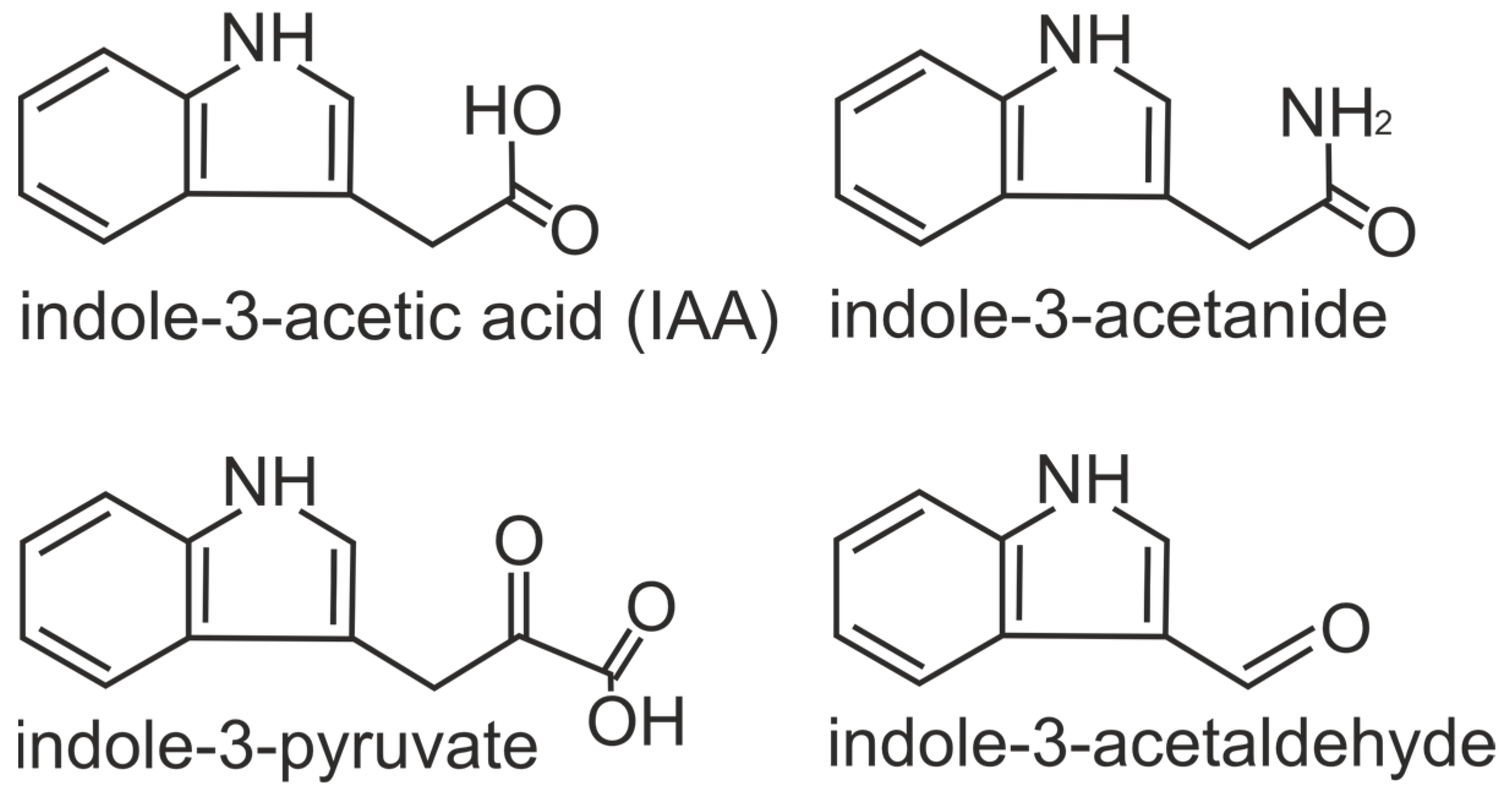 Plants 13 02371 g002