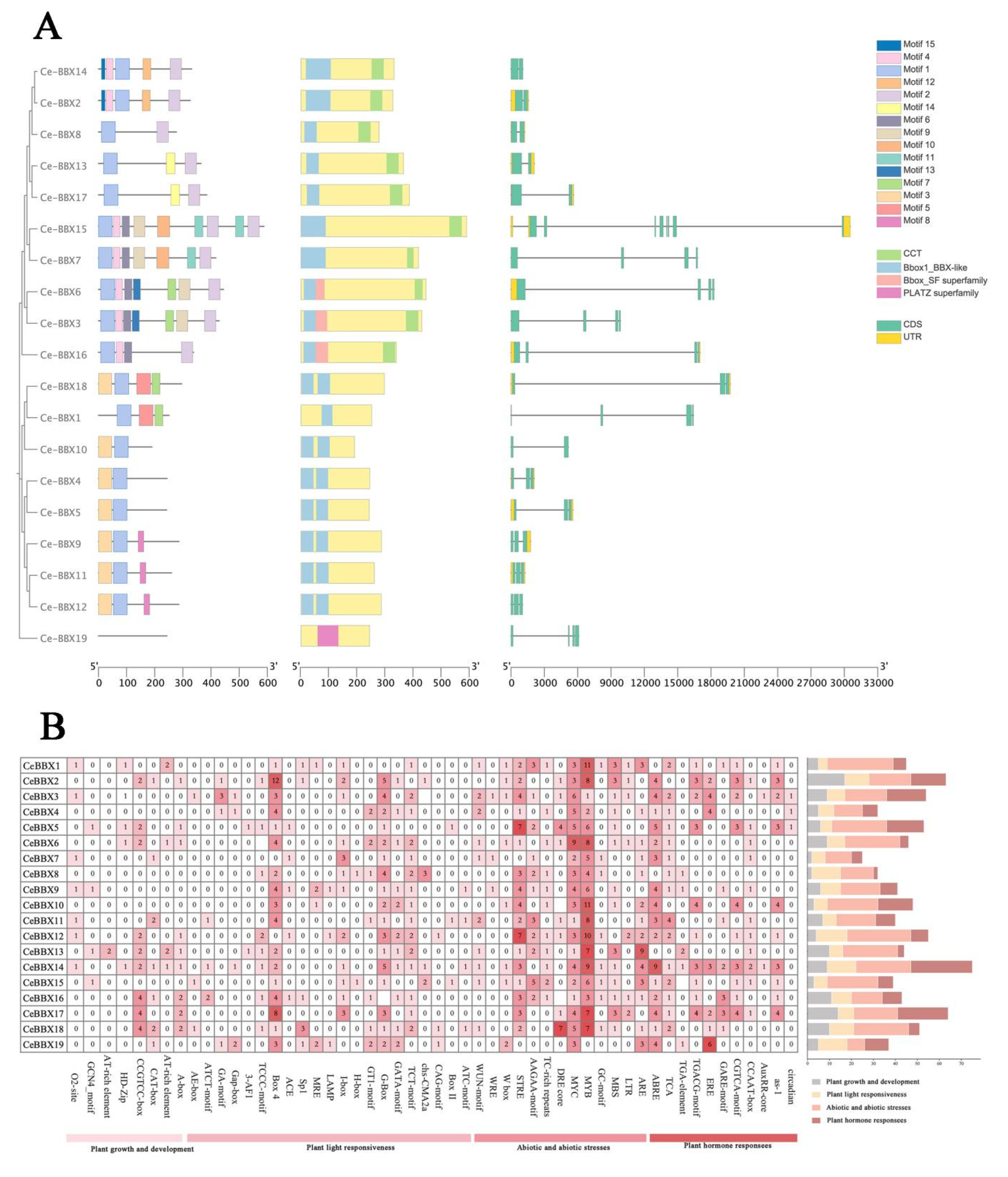 Plants 13 02375 g002