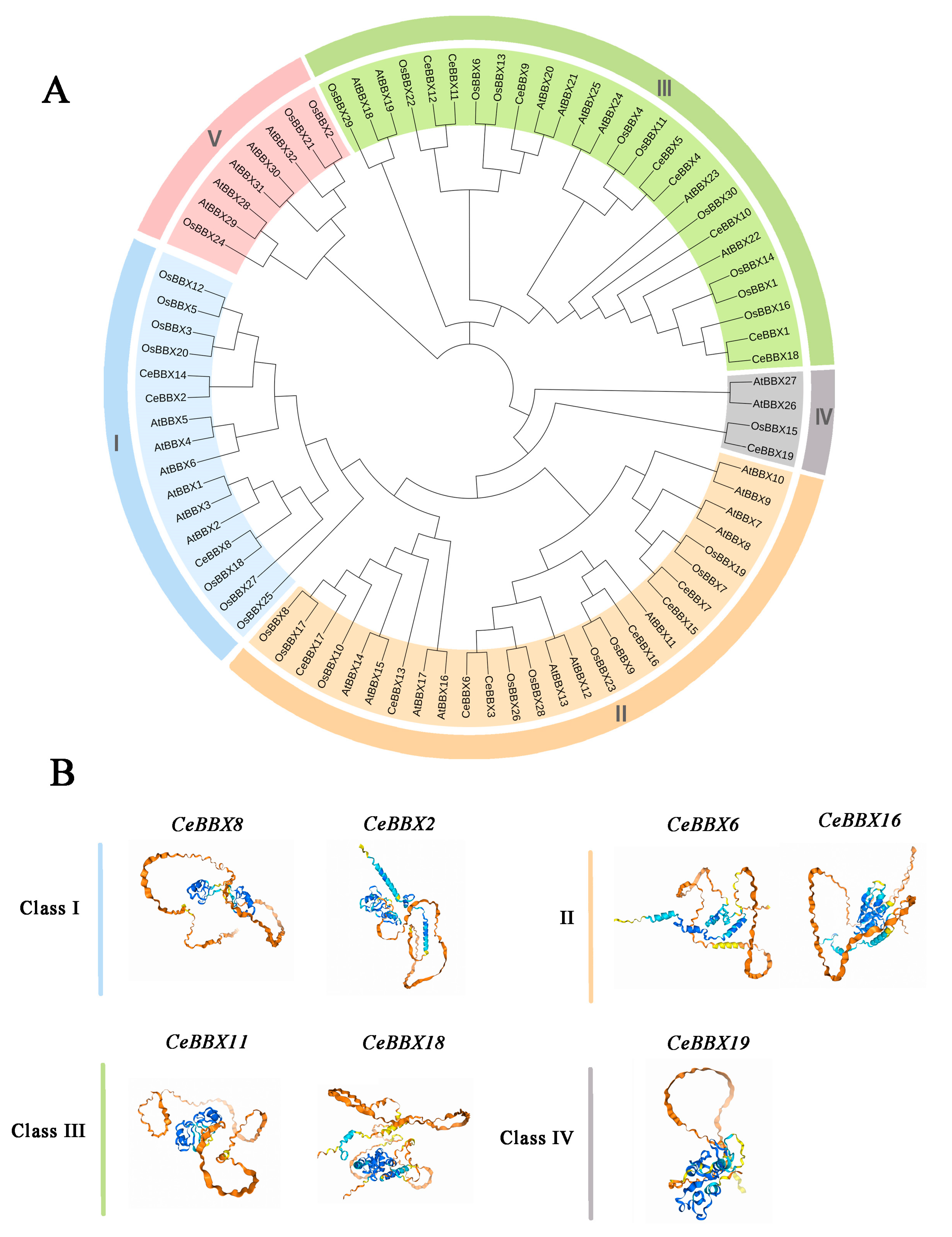Plants 13 02375 g003
