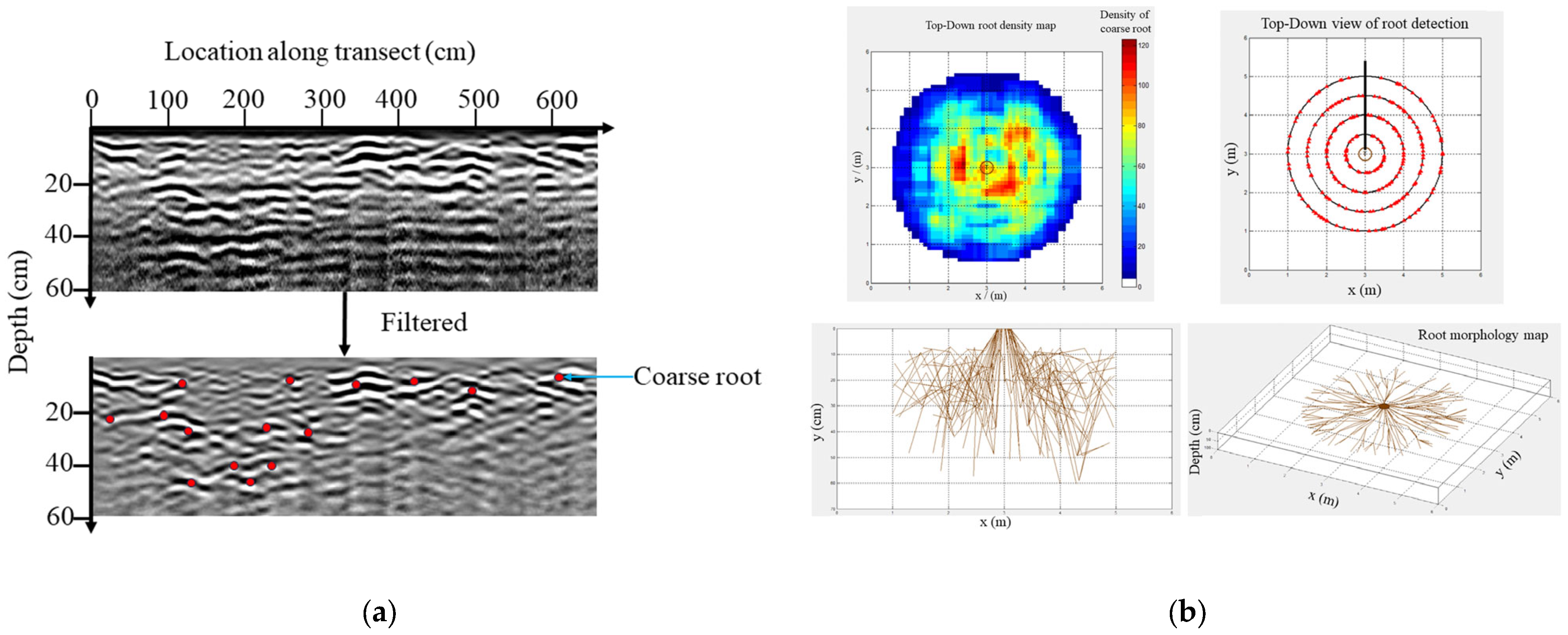 Plants 13 02377 g004