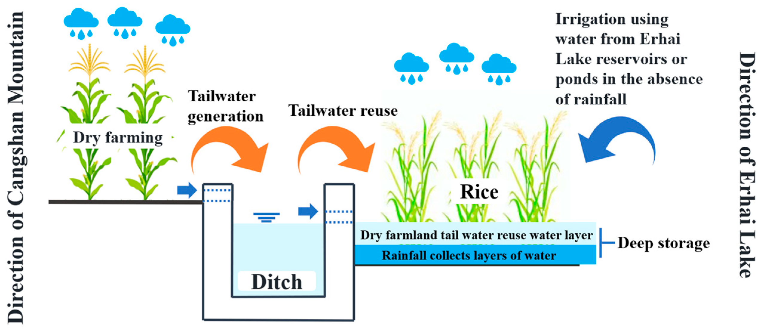 Plants 13 02381 g003