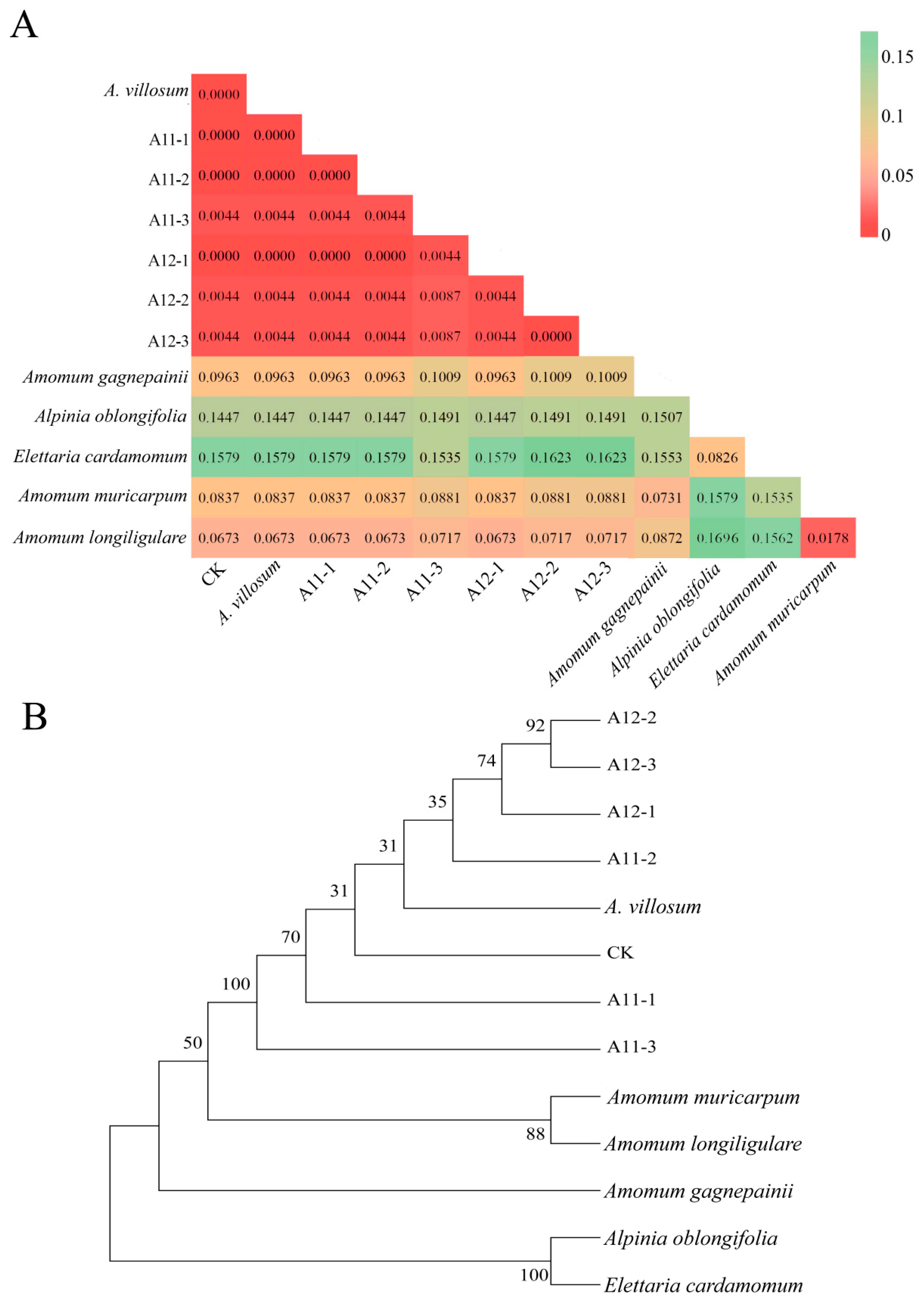 Plants 13 02382 g001