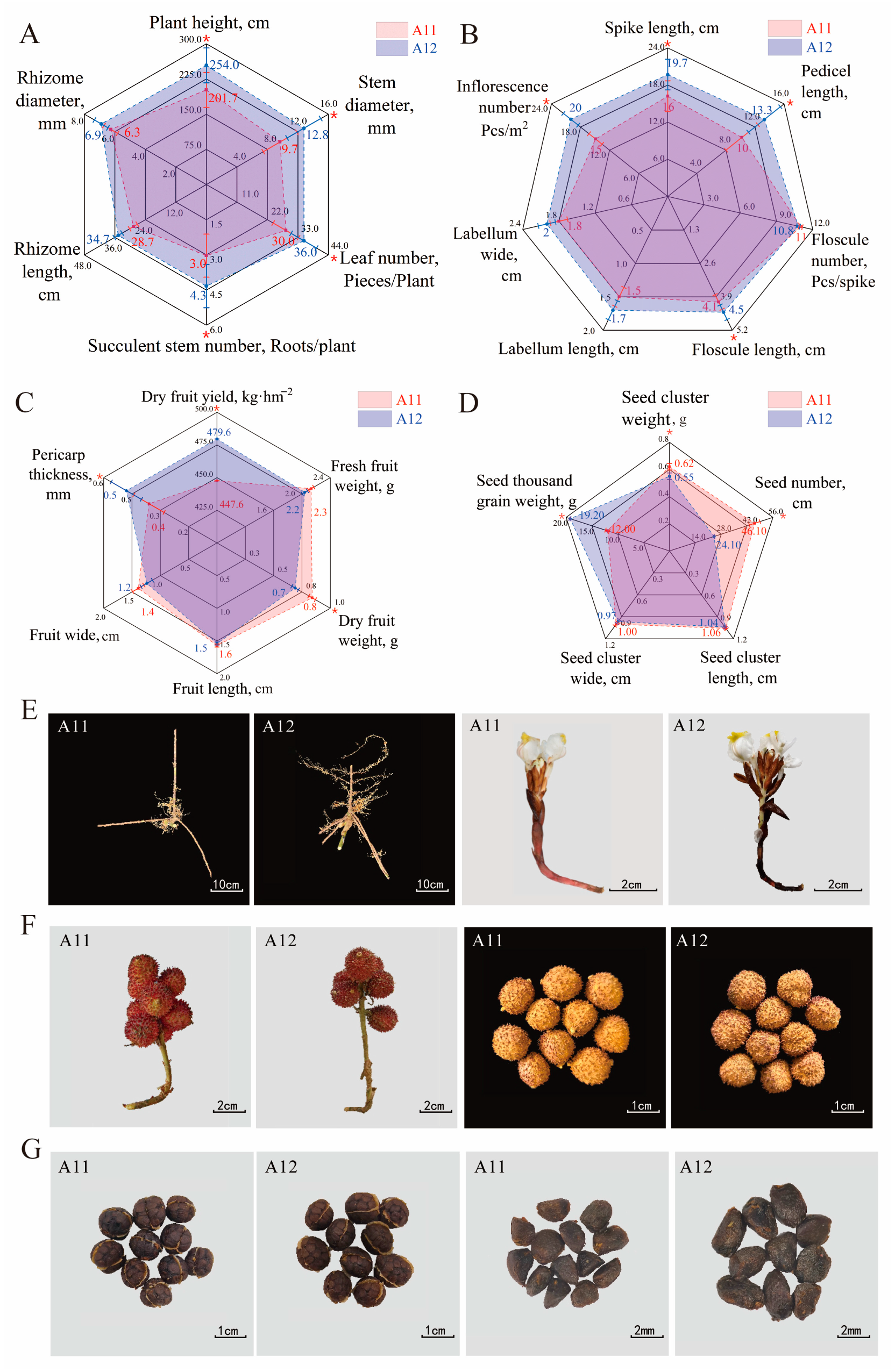 Plants 13 02382 g002