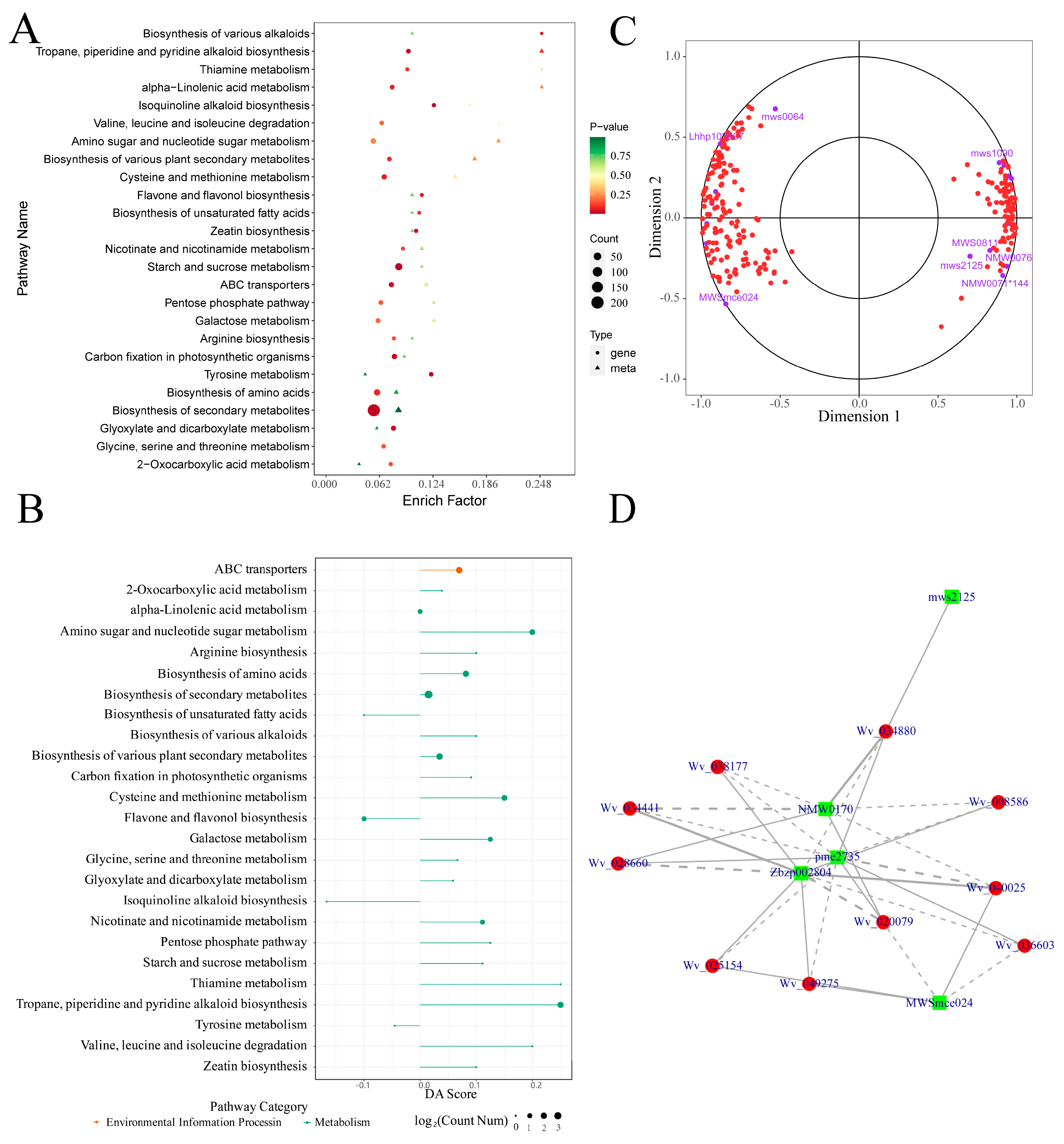 Plants 13 02382 g008
