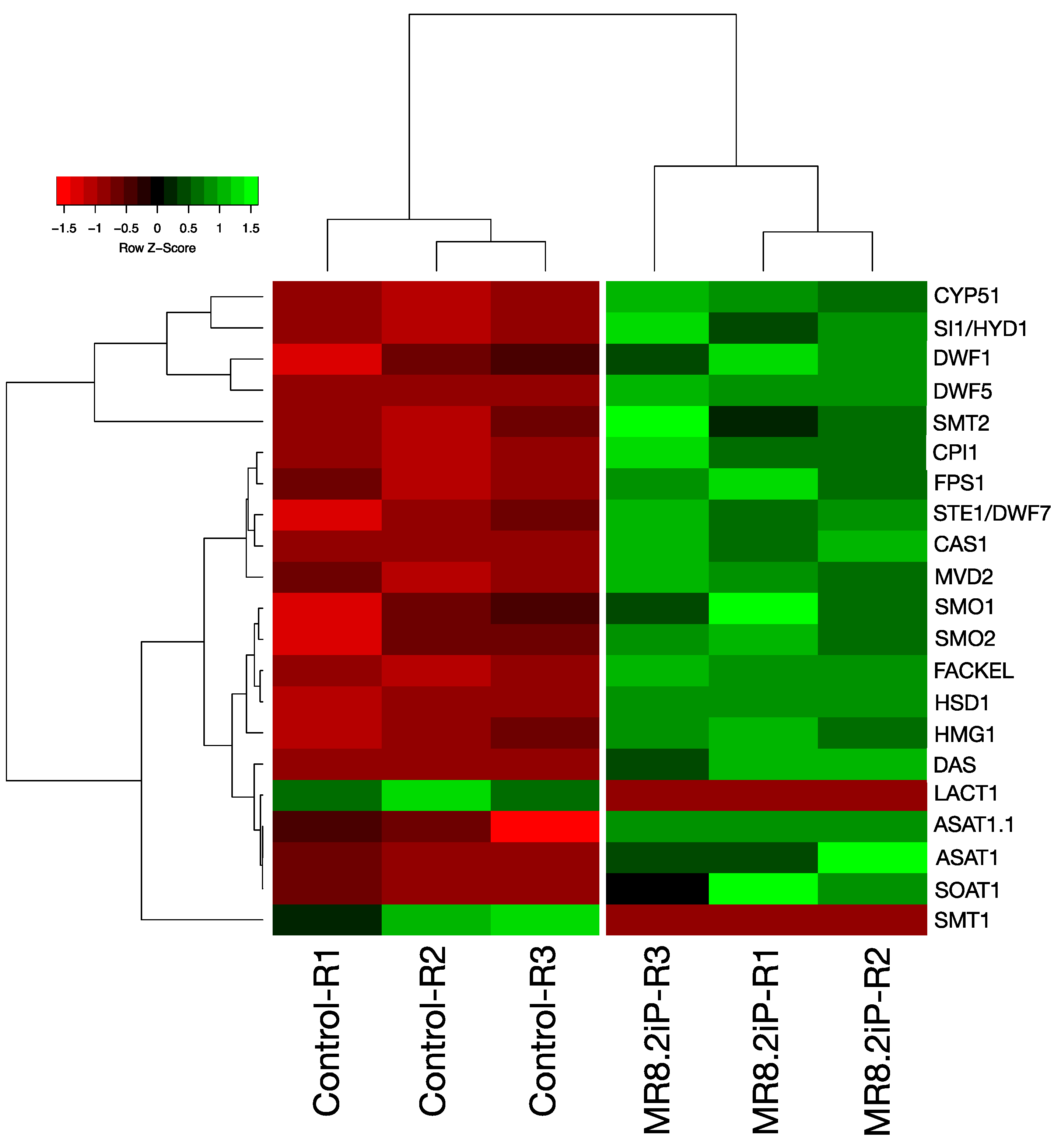 Plants 13 02391 g003