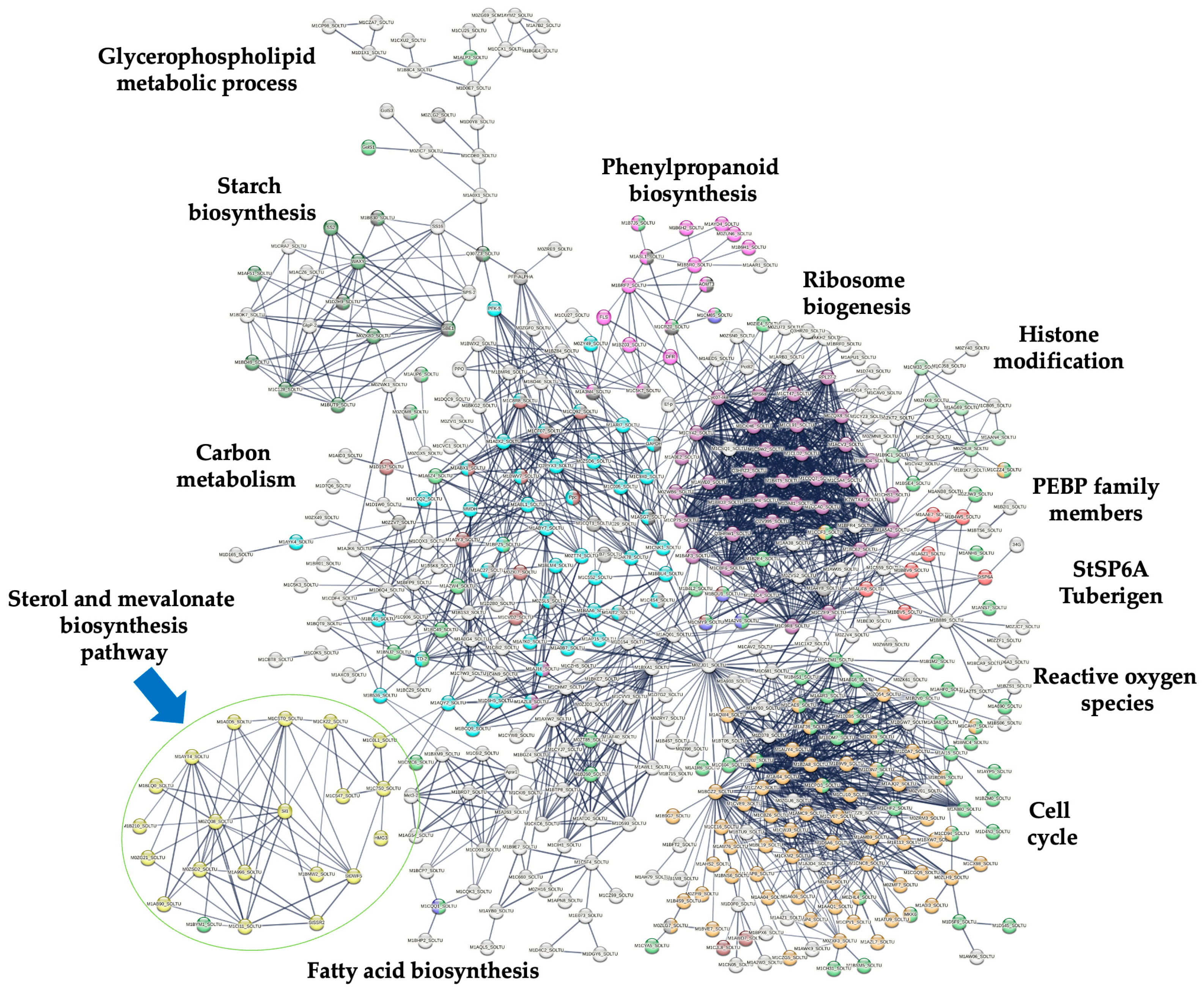 Plants 13 02391 g004