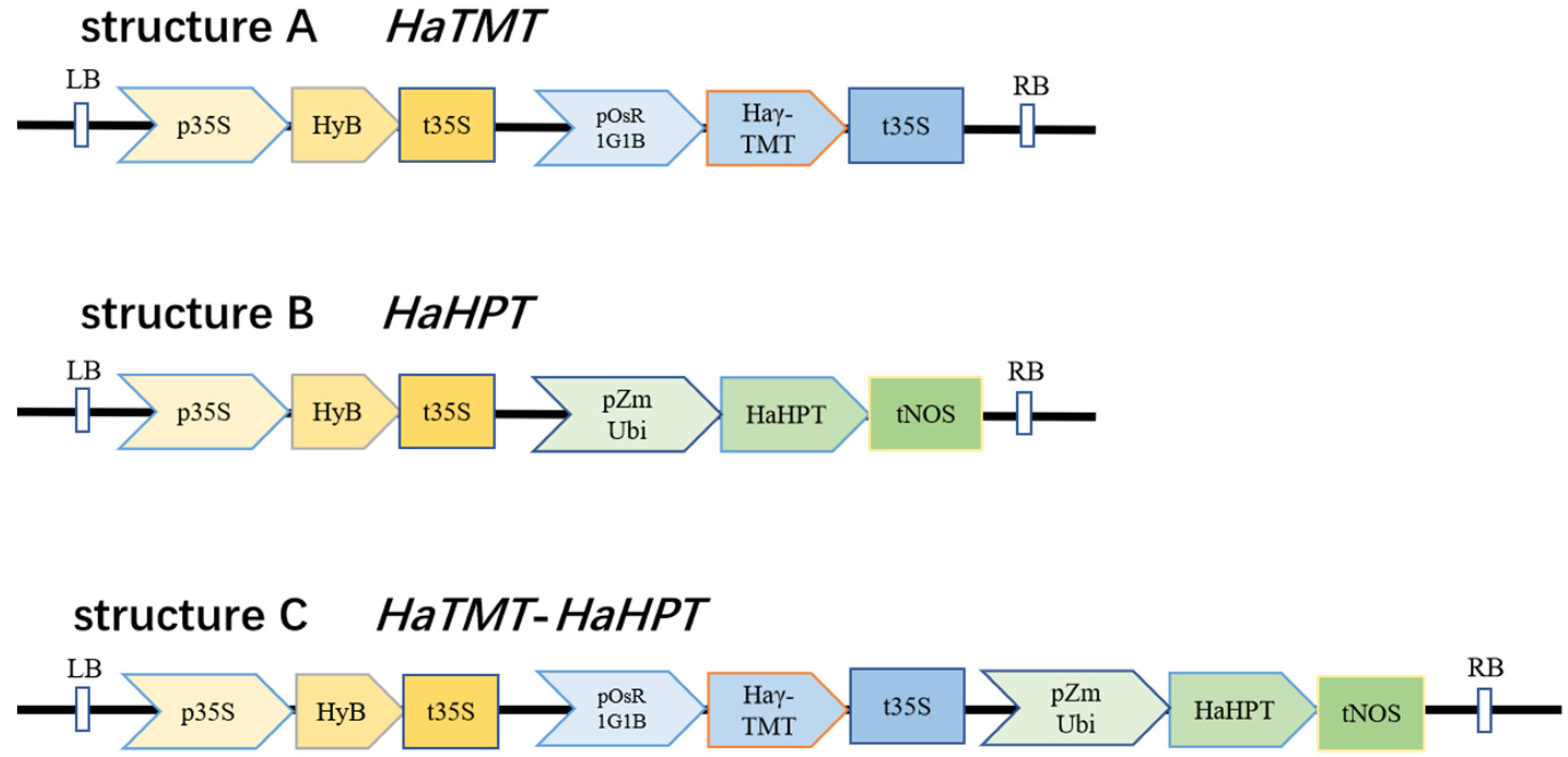Plants 13 02392 g002