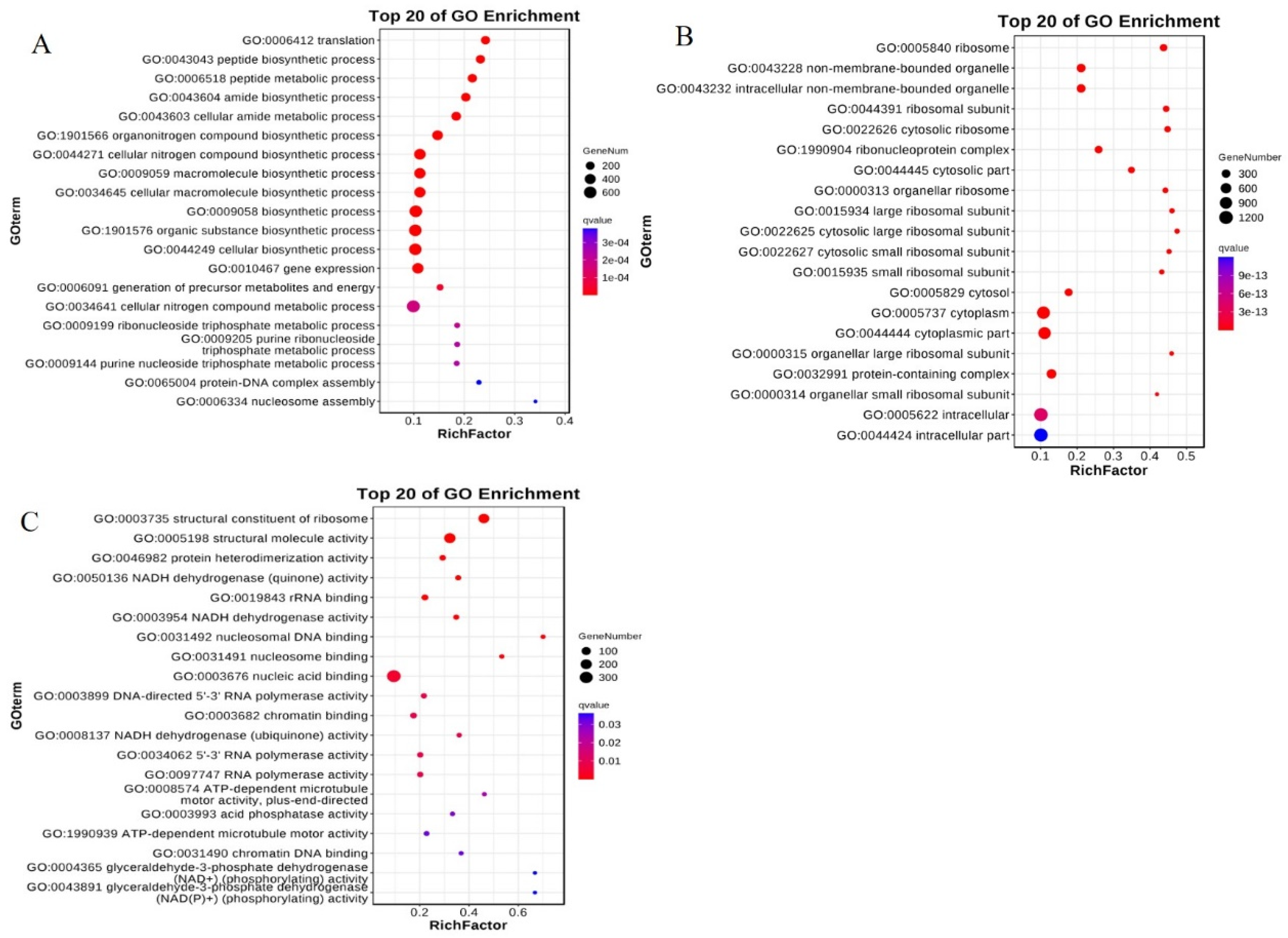 Plants 13 02392 g011