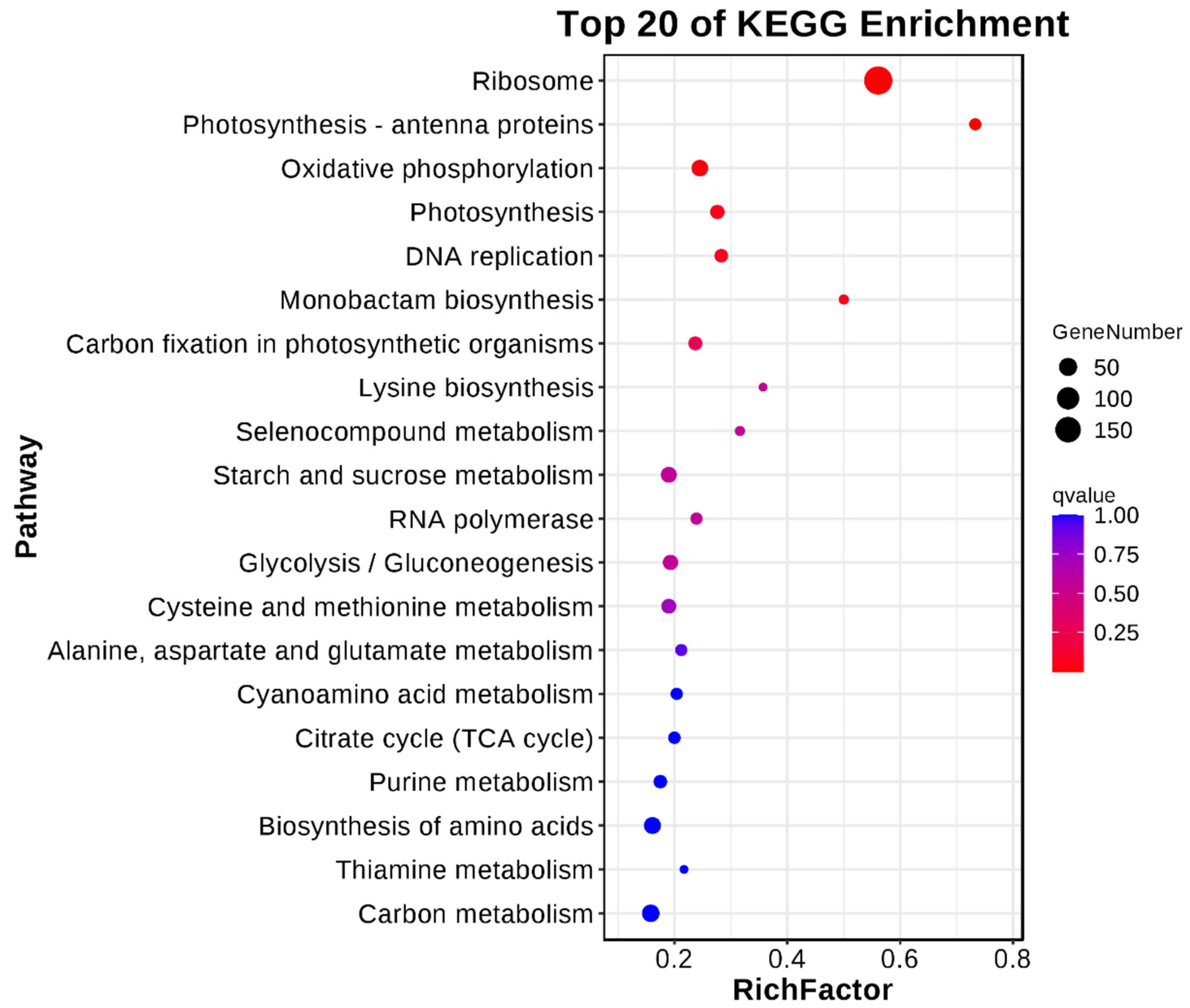Plants 13 02392 g012