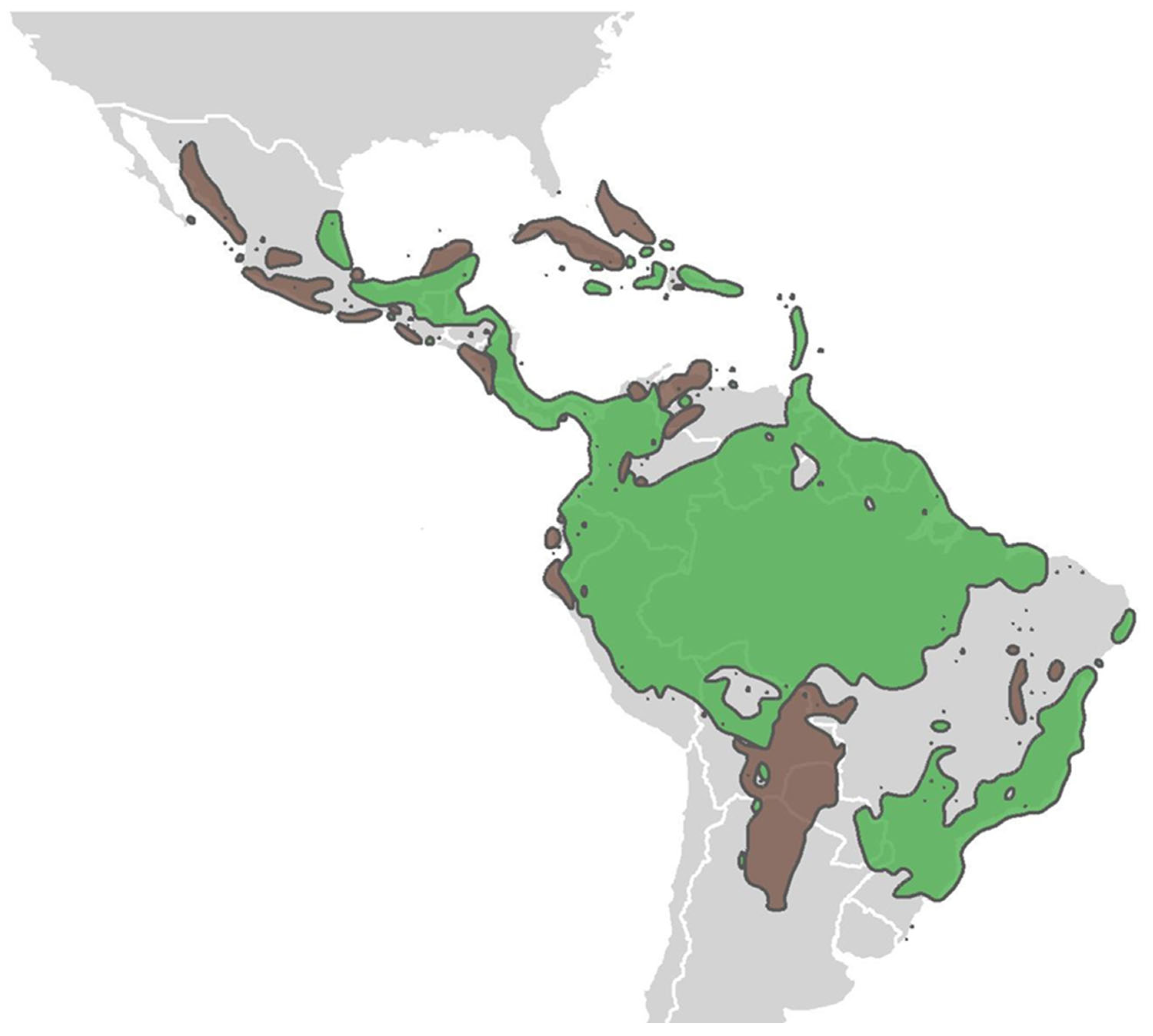 Plants 13 02396 g001