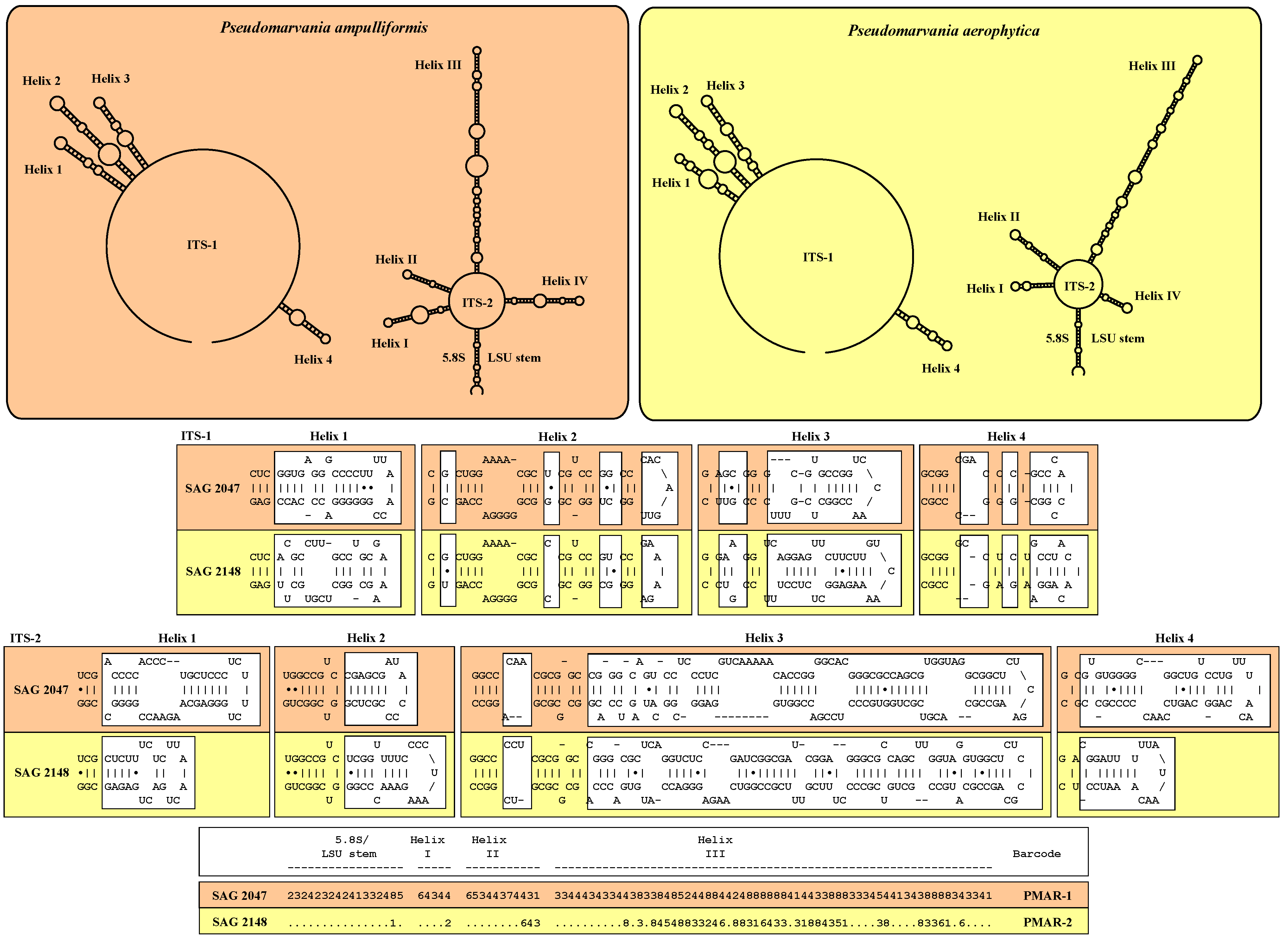 Plants 13 02405 g004