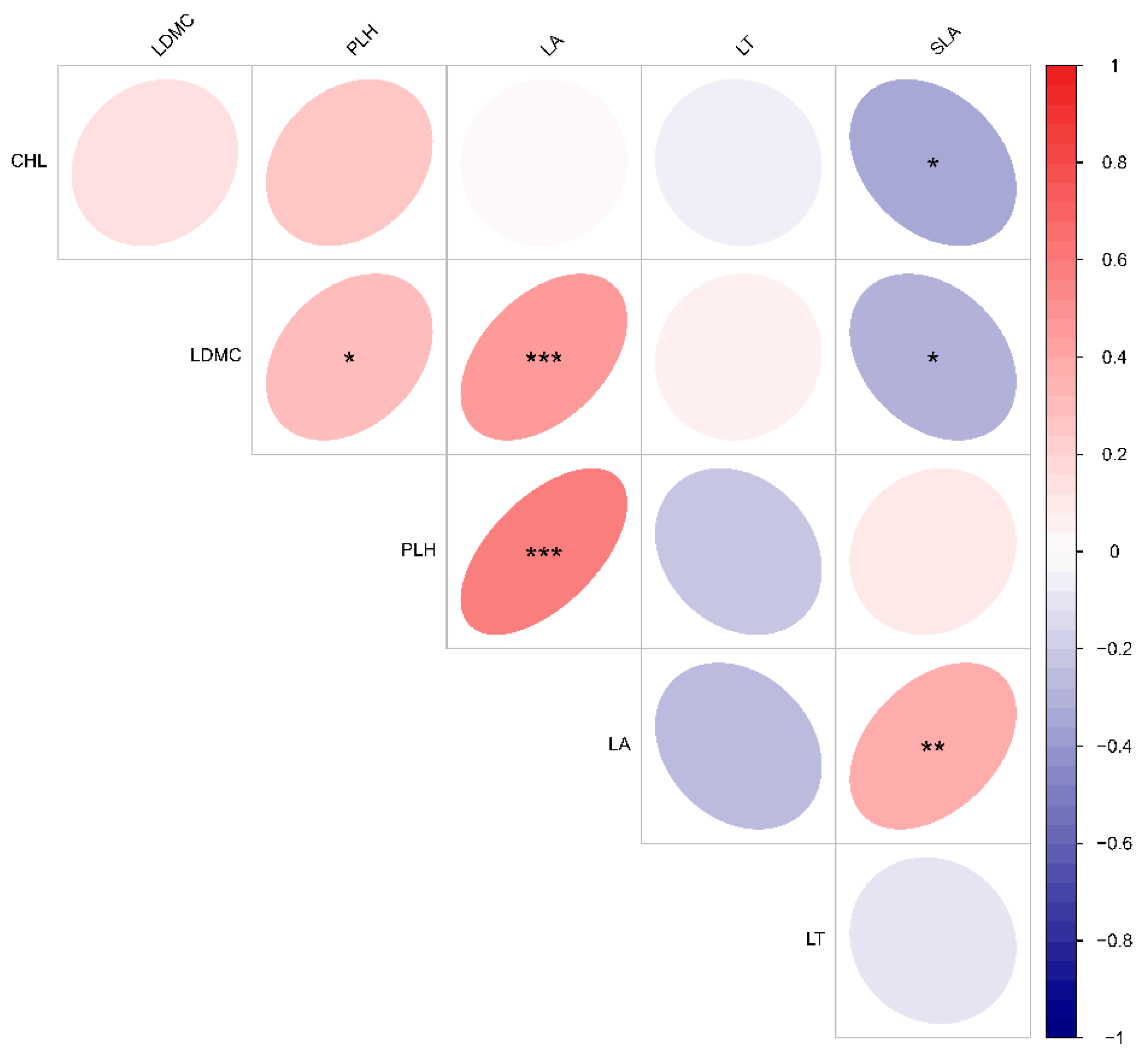 Plants 13 02407 g003