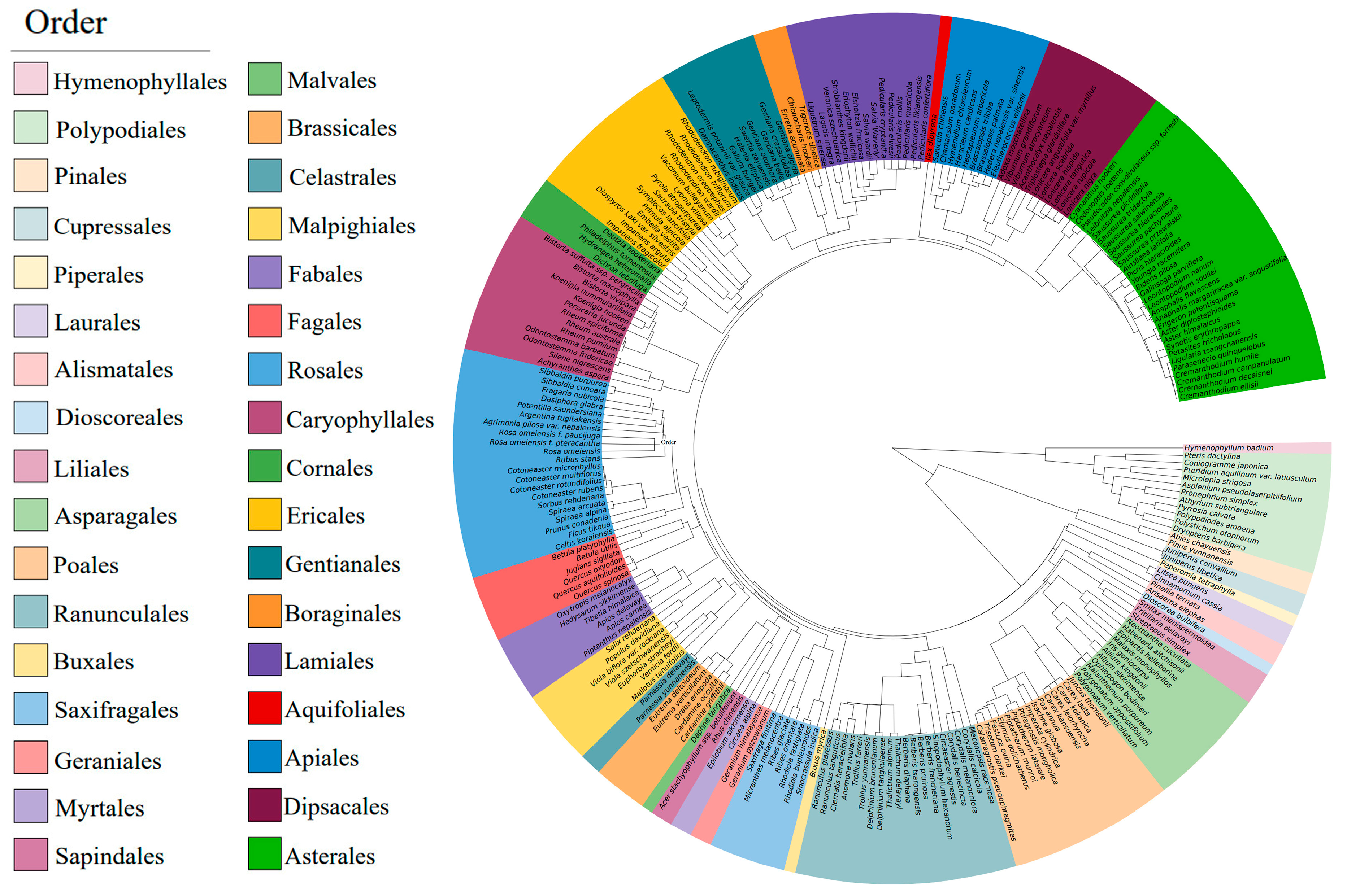 Plants 13 02423 g002 Plants 13 02423 g002