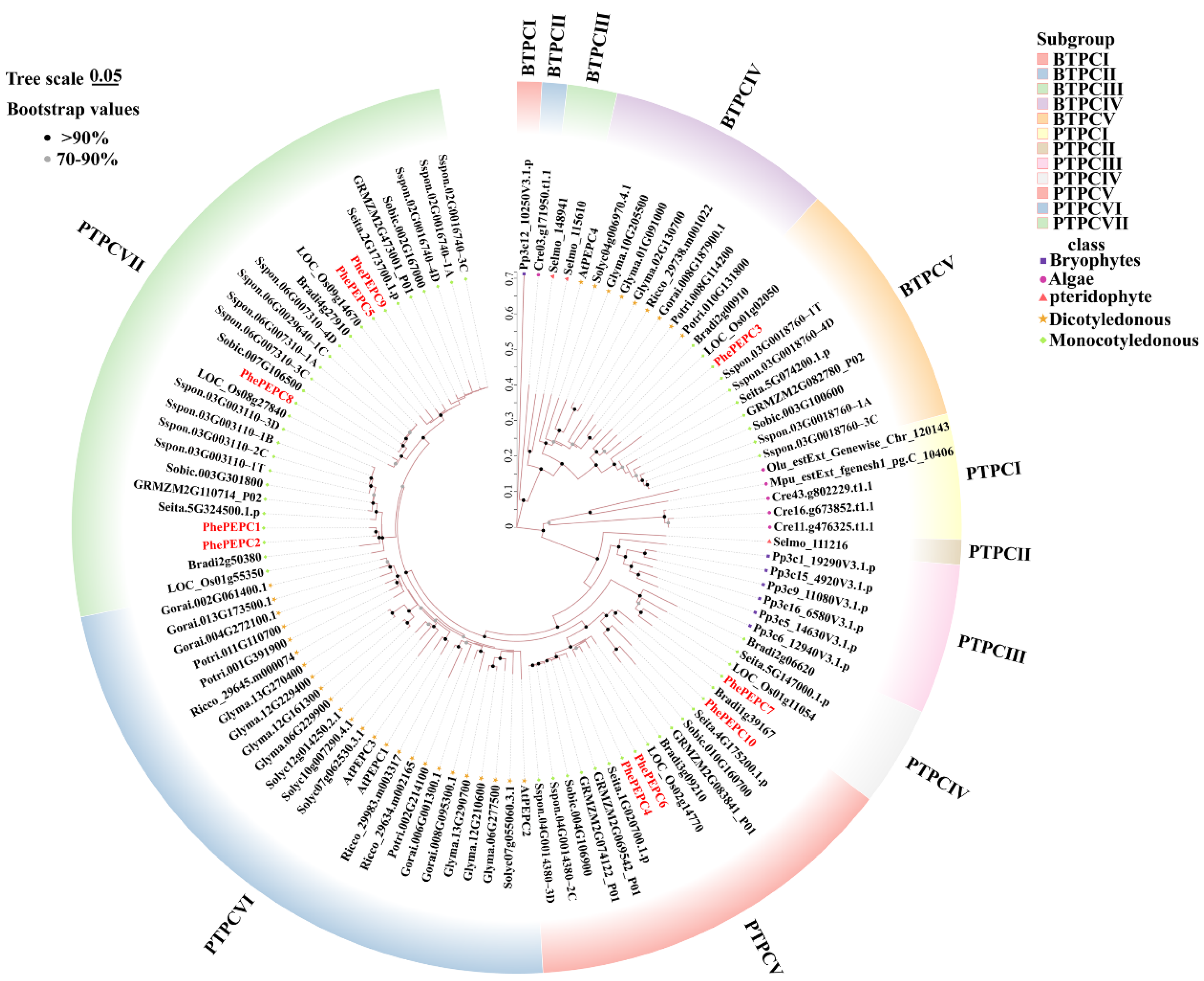 Plants 13 02426 g001