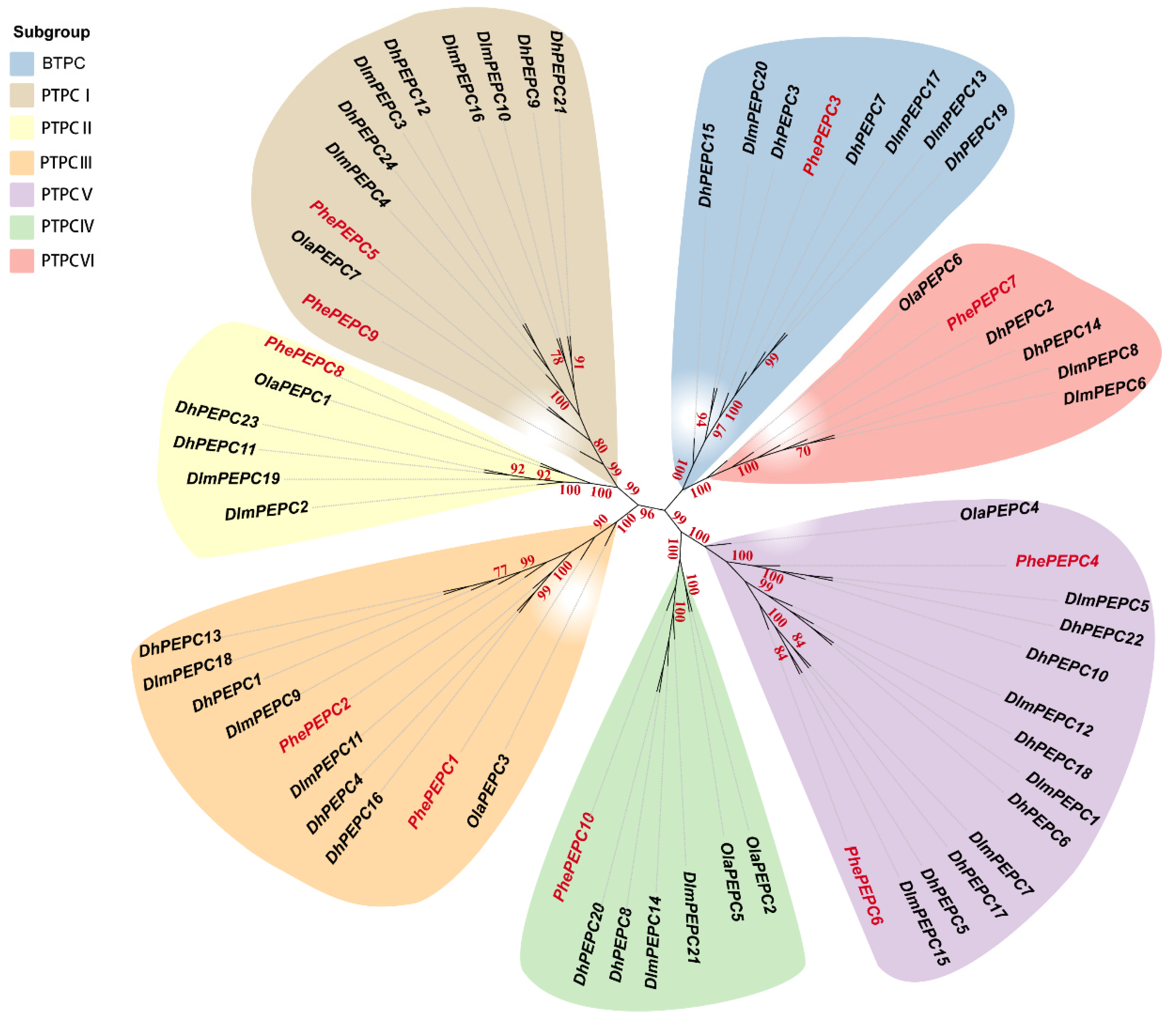 Plants 13 02426 g002