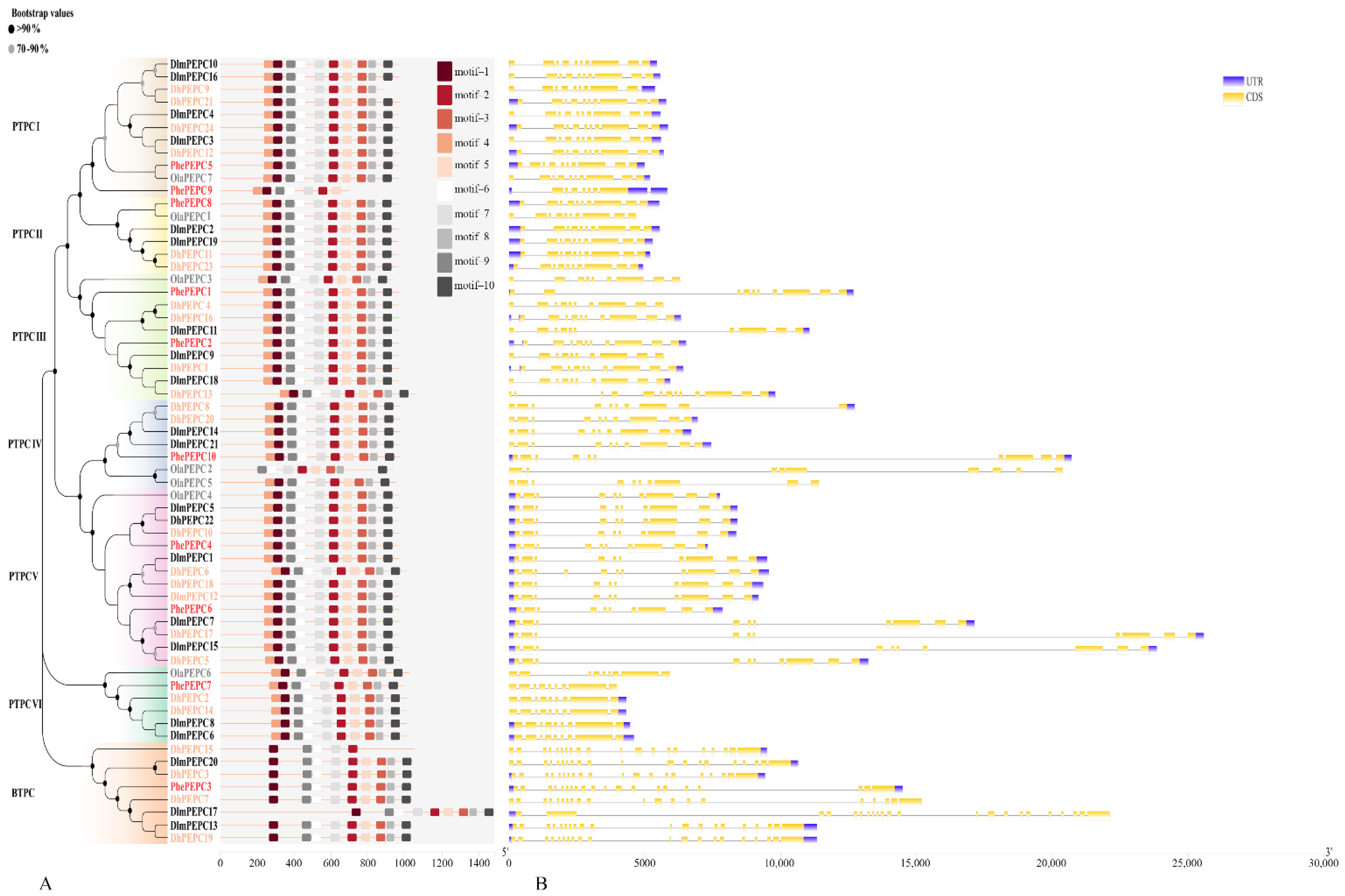 Plants 13 02426 g003