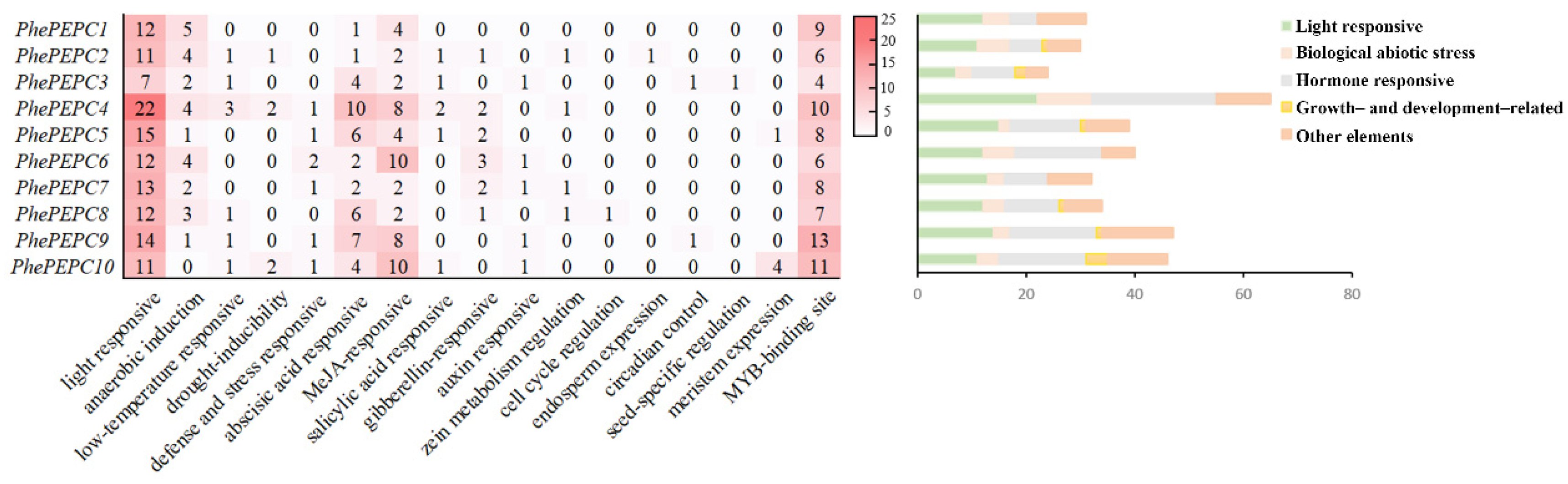 Plants 13 02426 g004