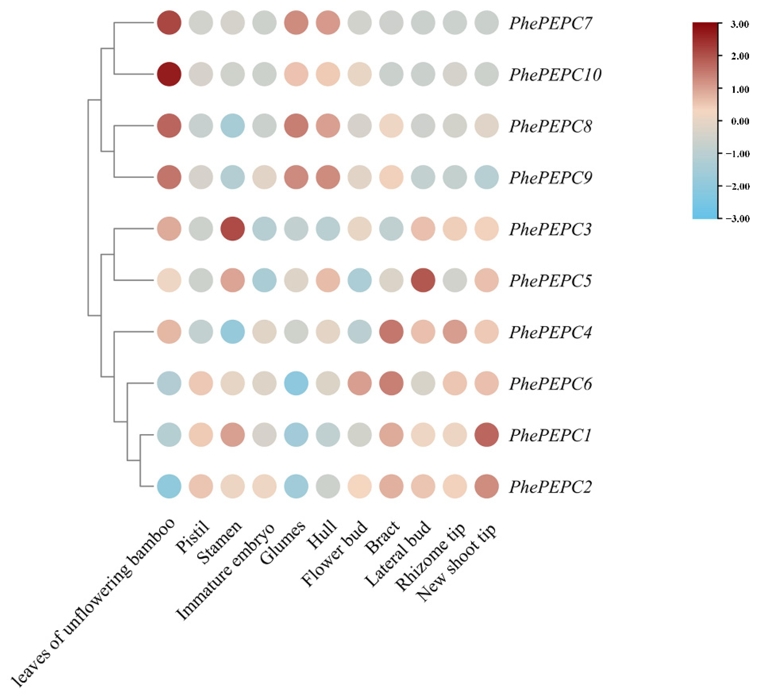 Plants 13 02426 g008