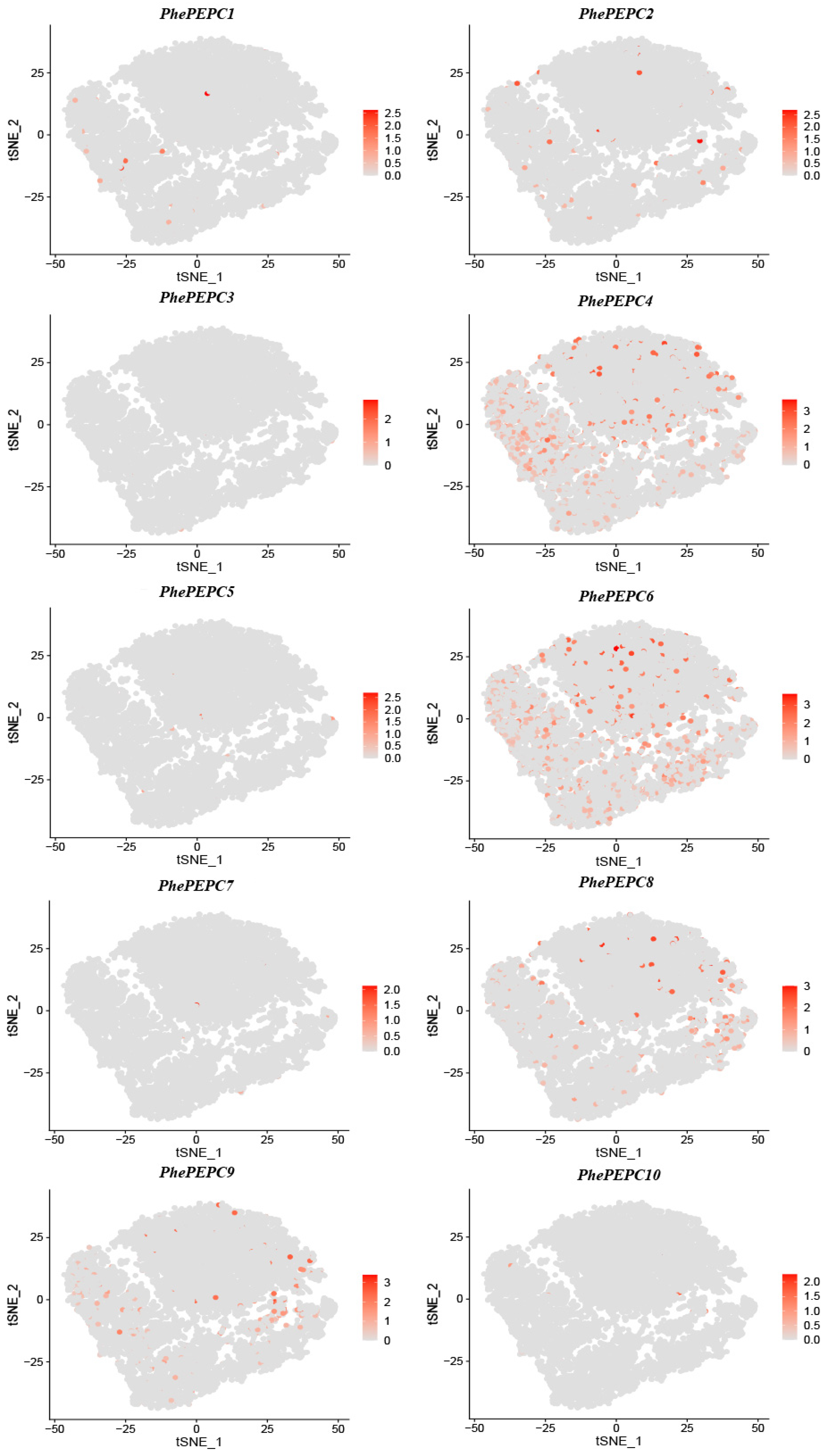 Plants 13 02426 g009