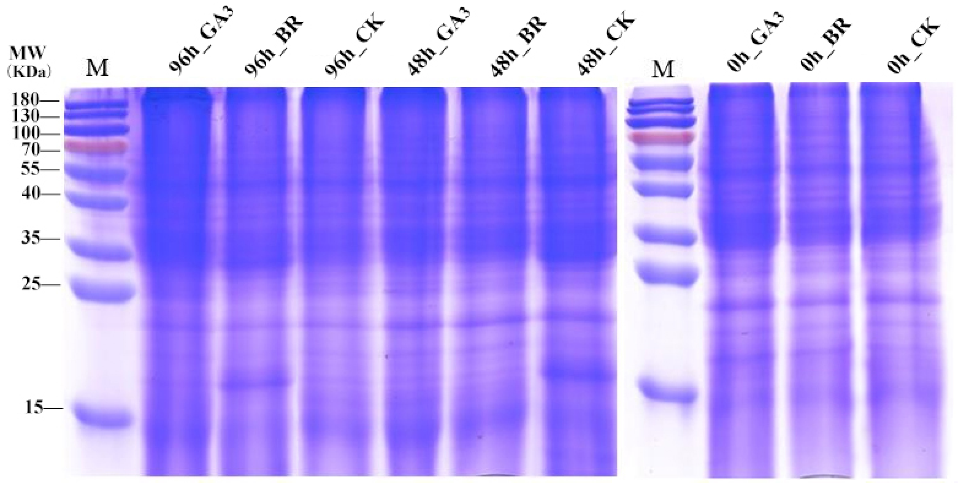 Plants 13 02430 g002 Plants 13 02430 g002