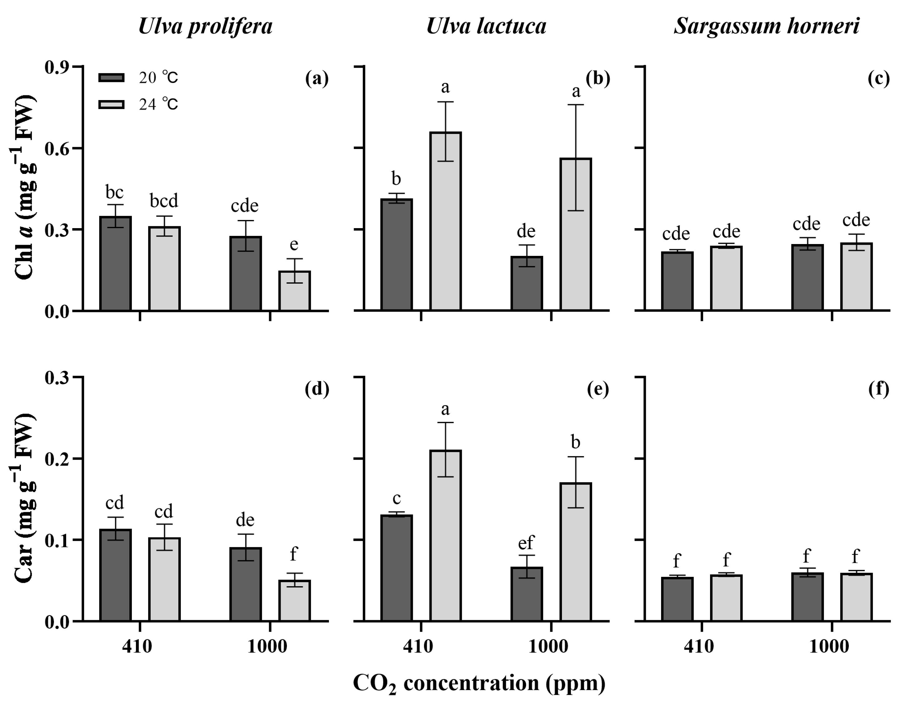 Plants 13 02433 g002