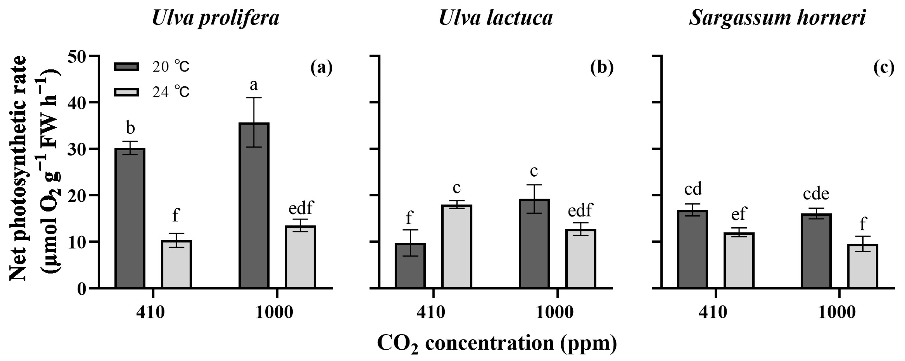 Plants 13 02433 g003