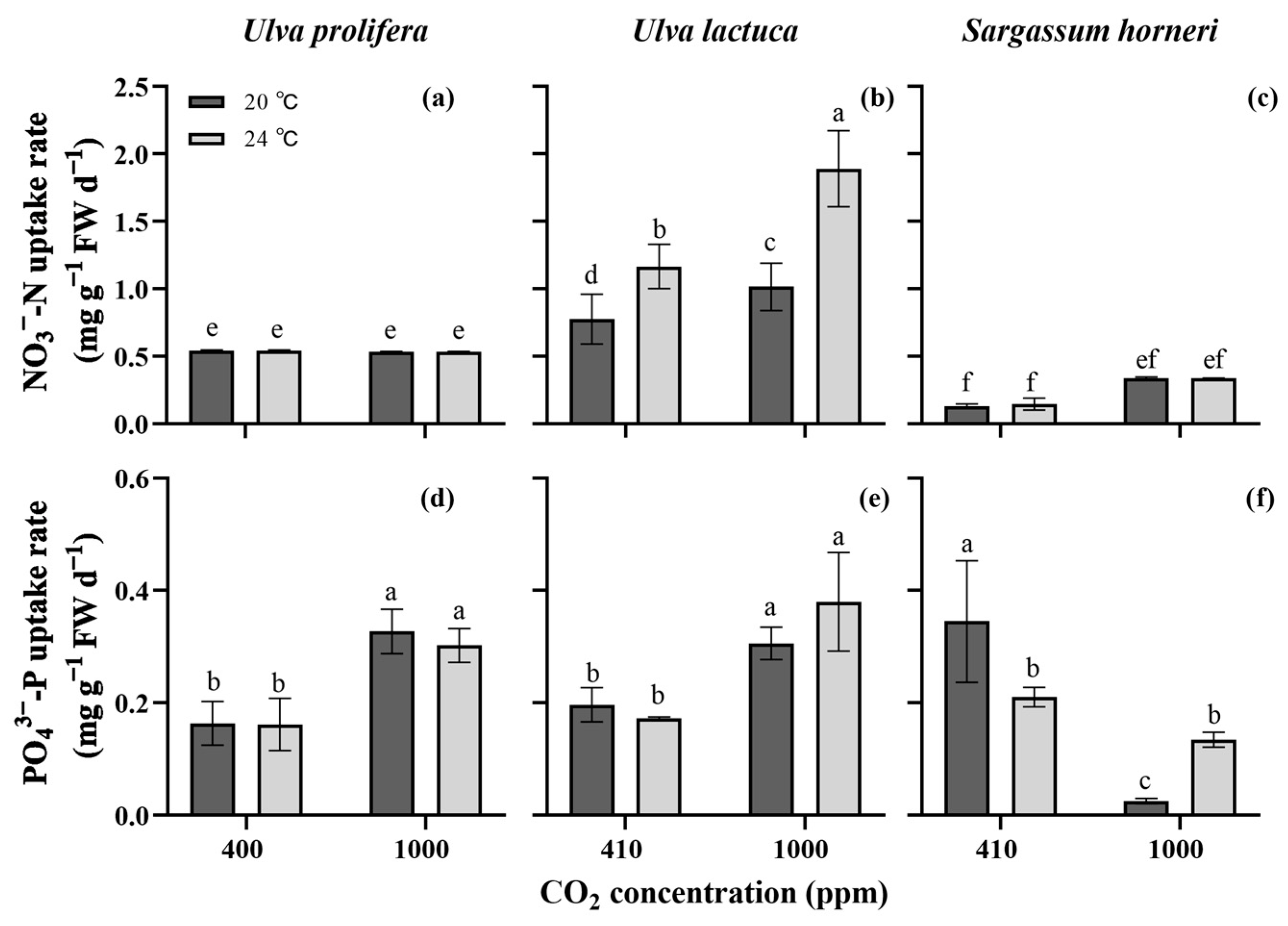 Plants 13 02433 g004