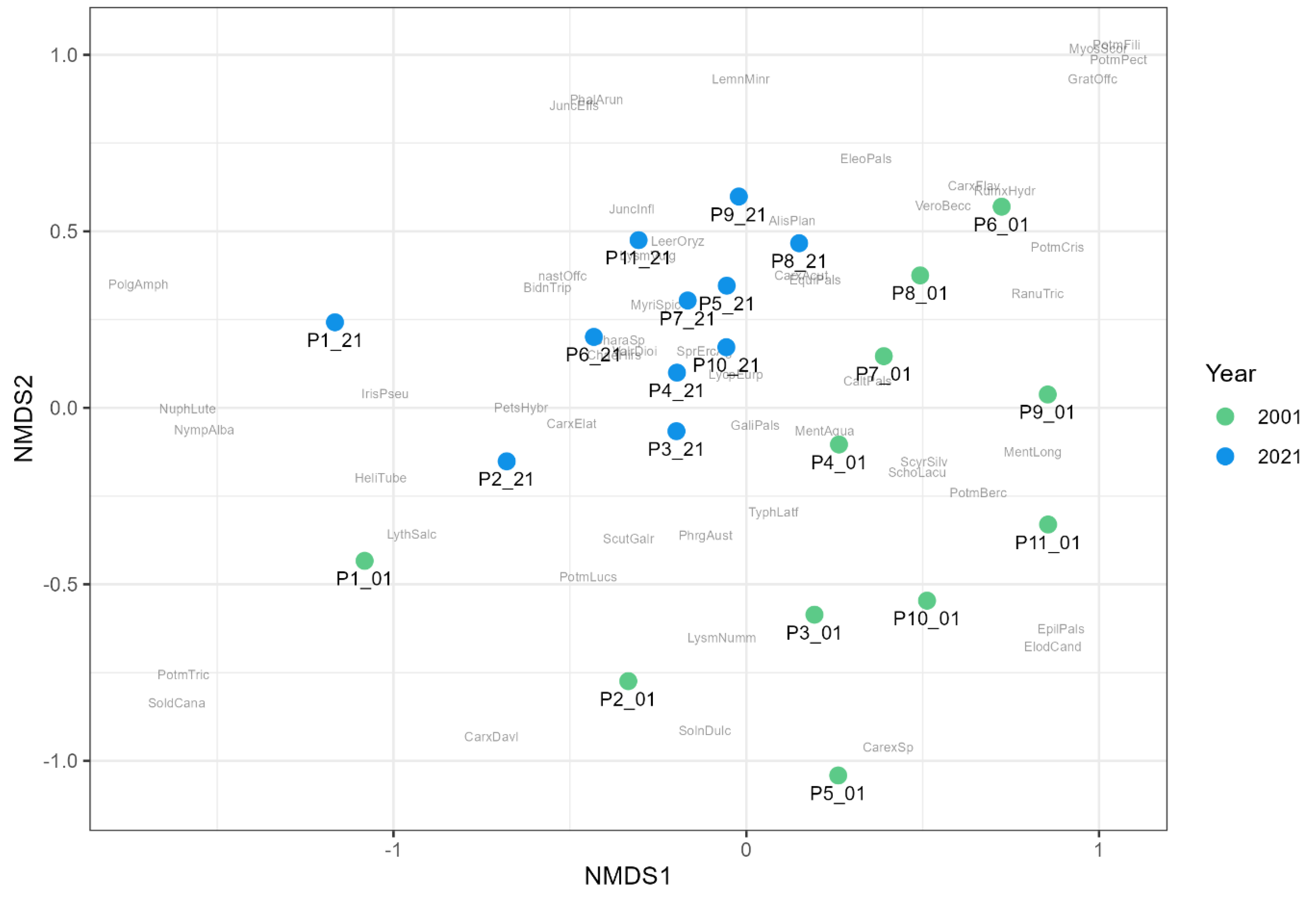 Plants 13 02439 g007