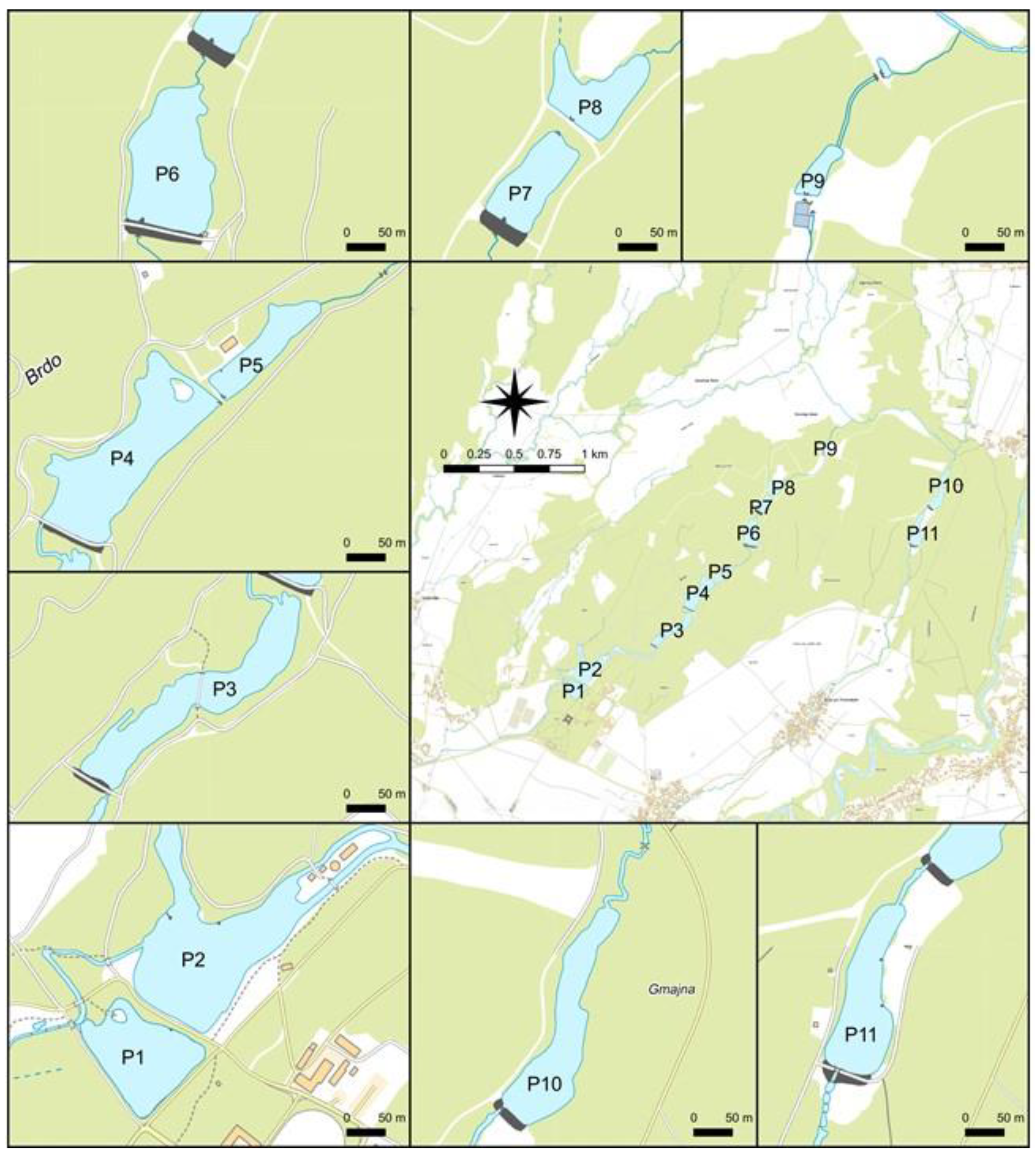 Plants 13 02439 g009