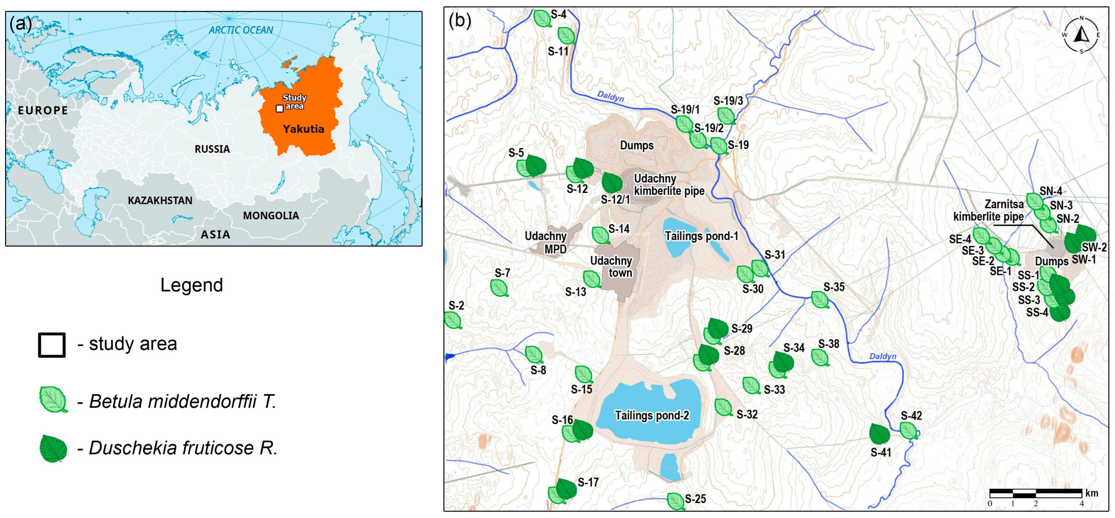 Plants 13 02440 g001