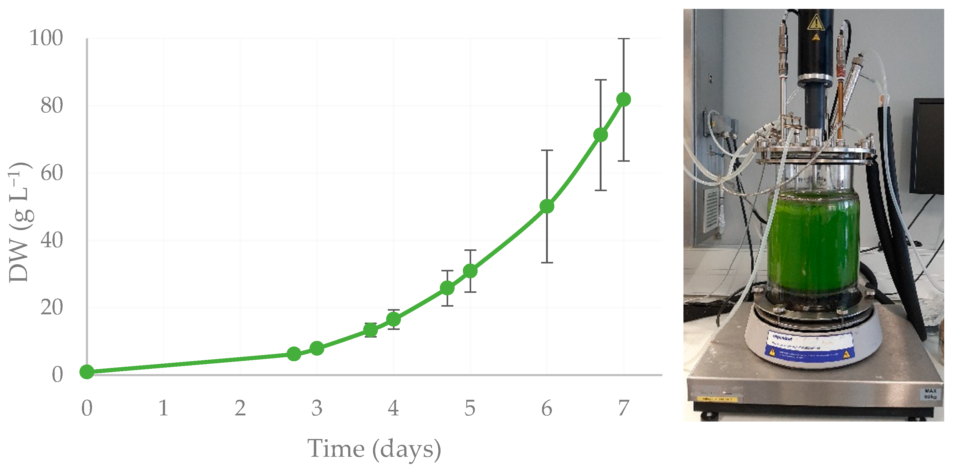 Plants 13 02441 g002