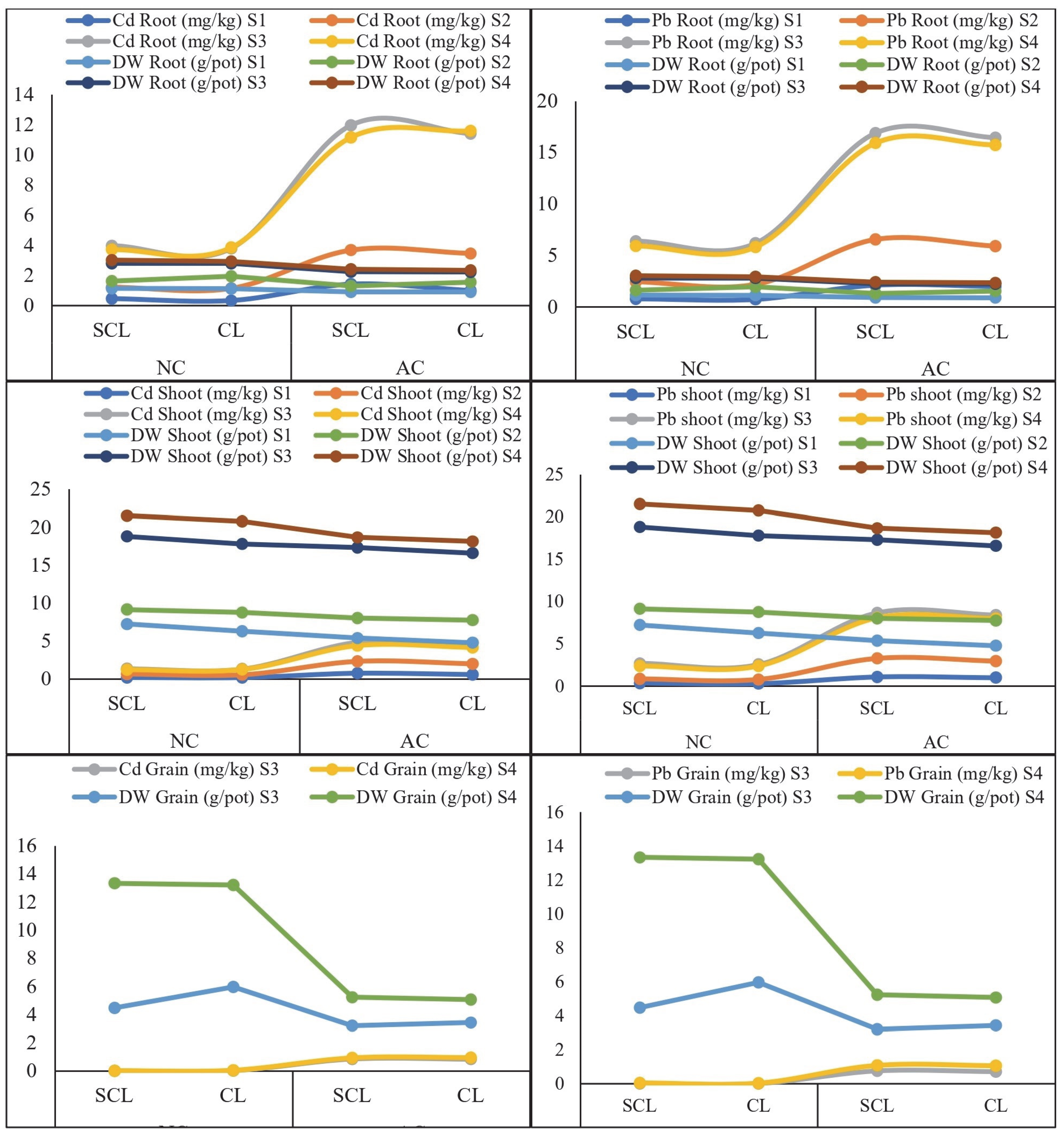 Plants 13 02445 g001