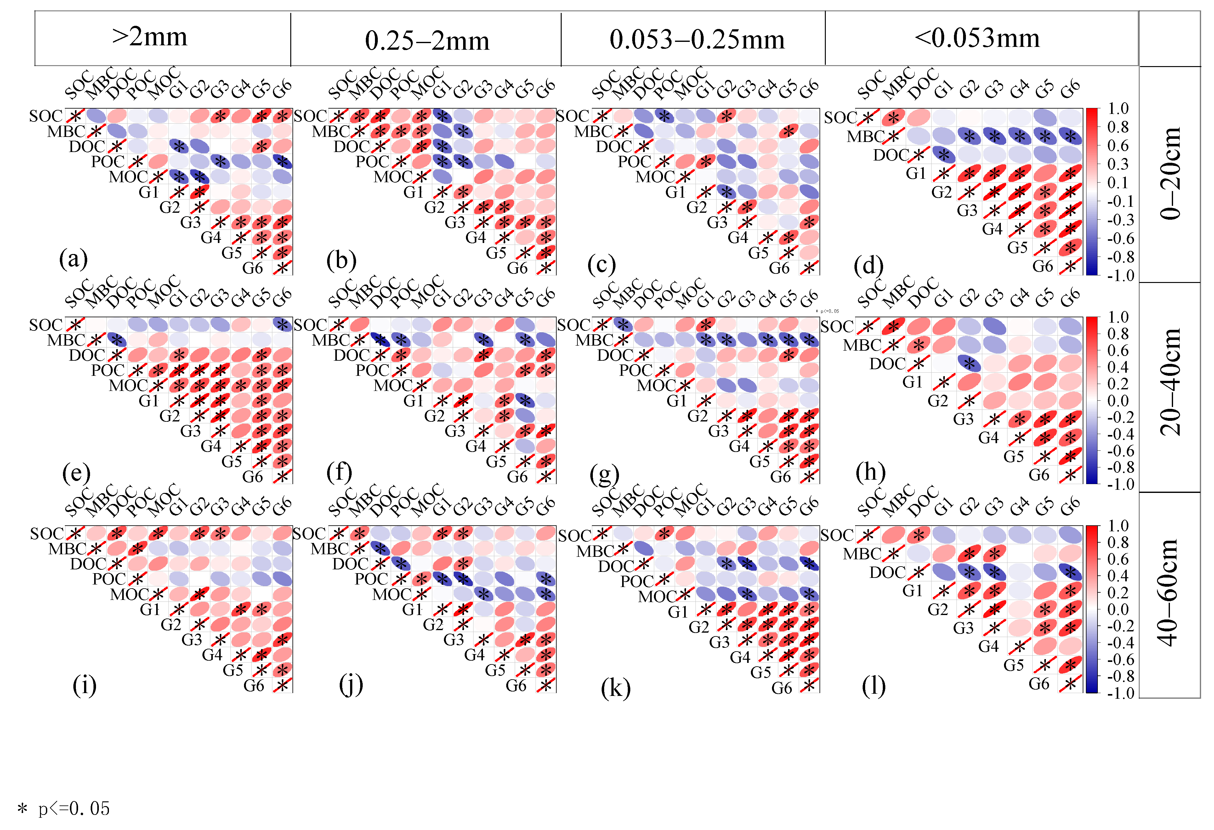Plants 13 02455 g003