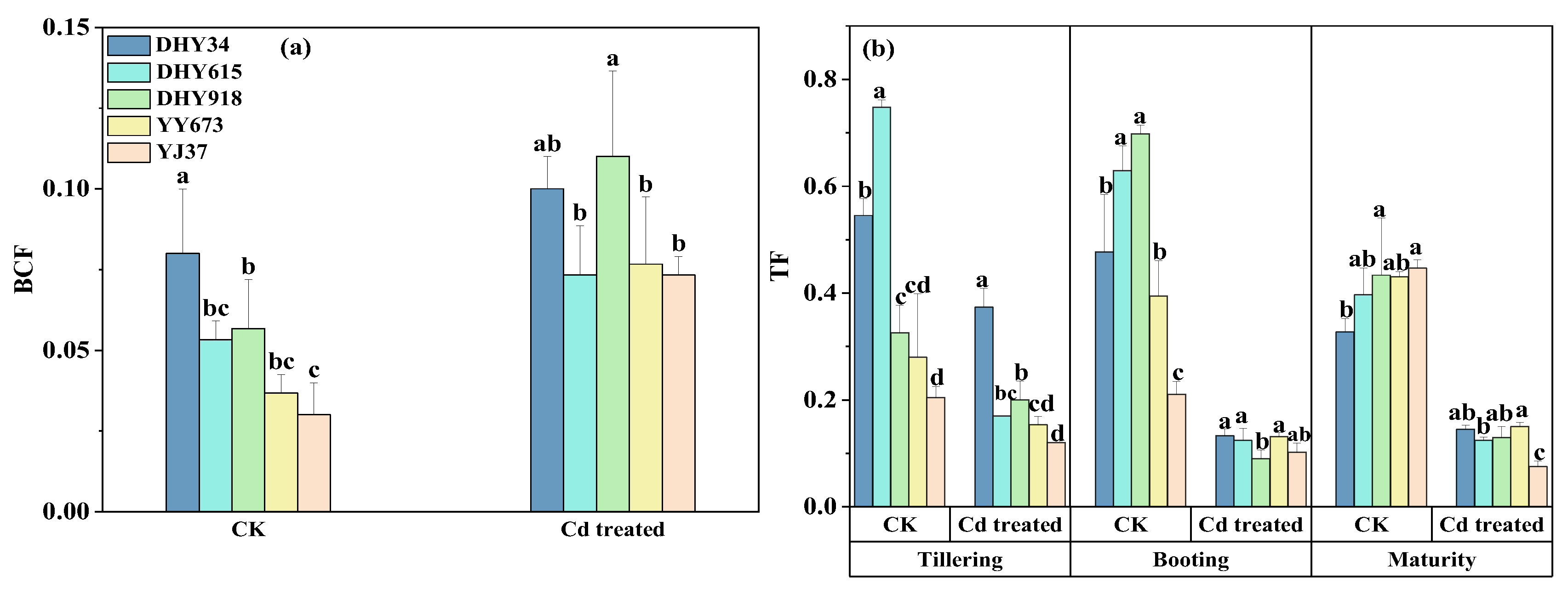Plants 13 02457 g002