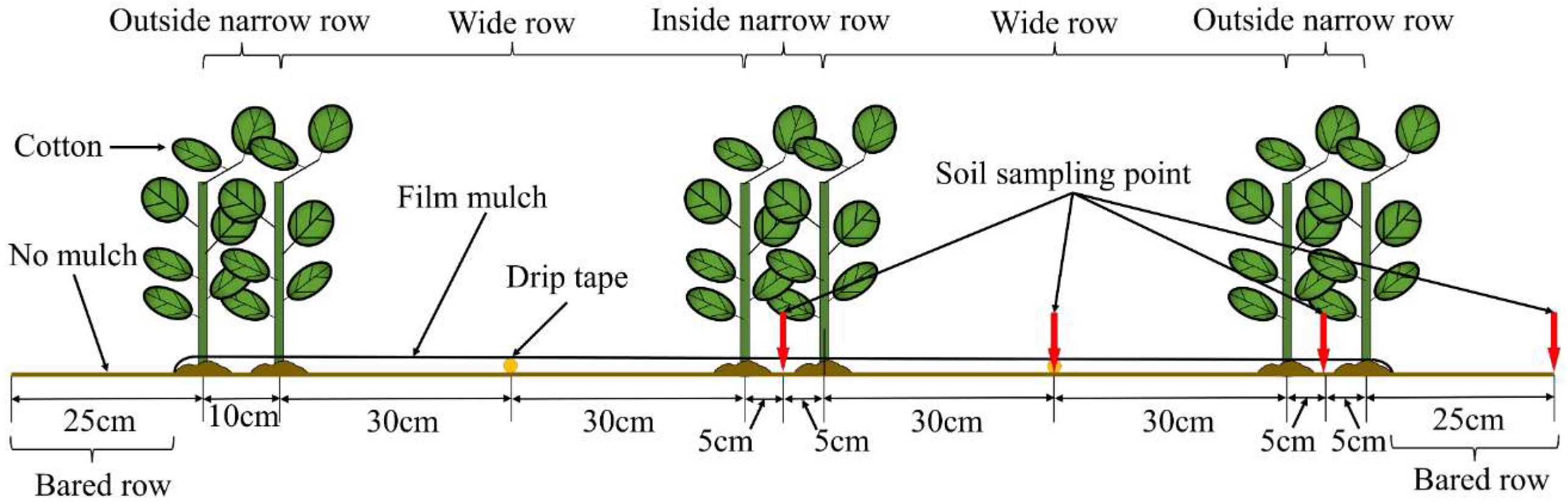 Plants 13 02458 g018