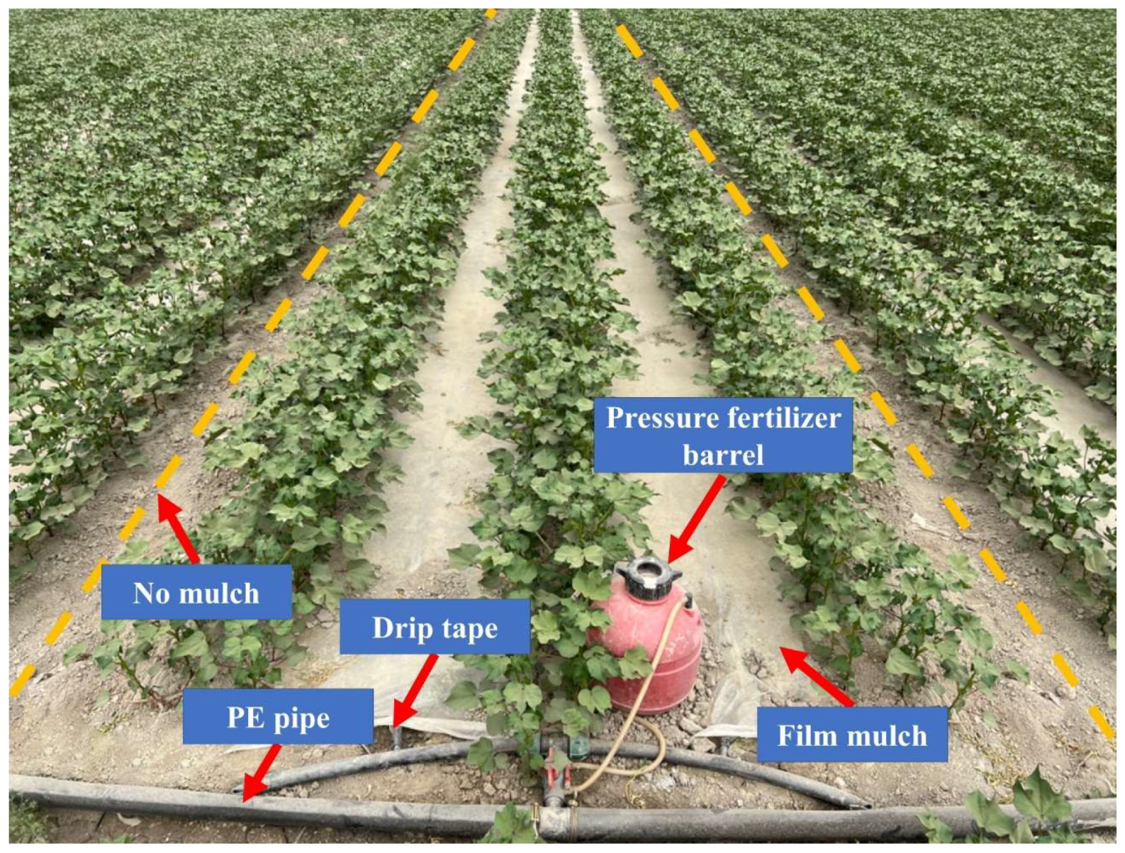 Plants 13 02458 g019