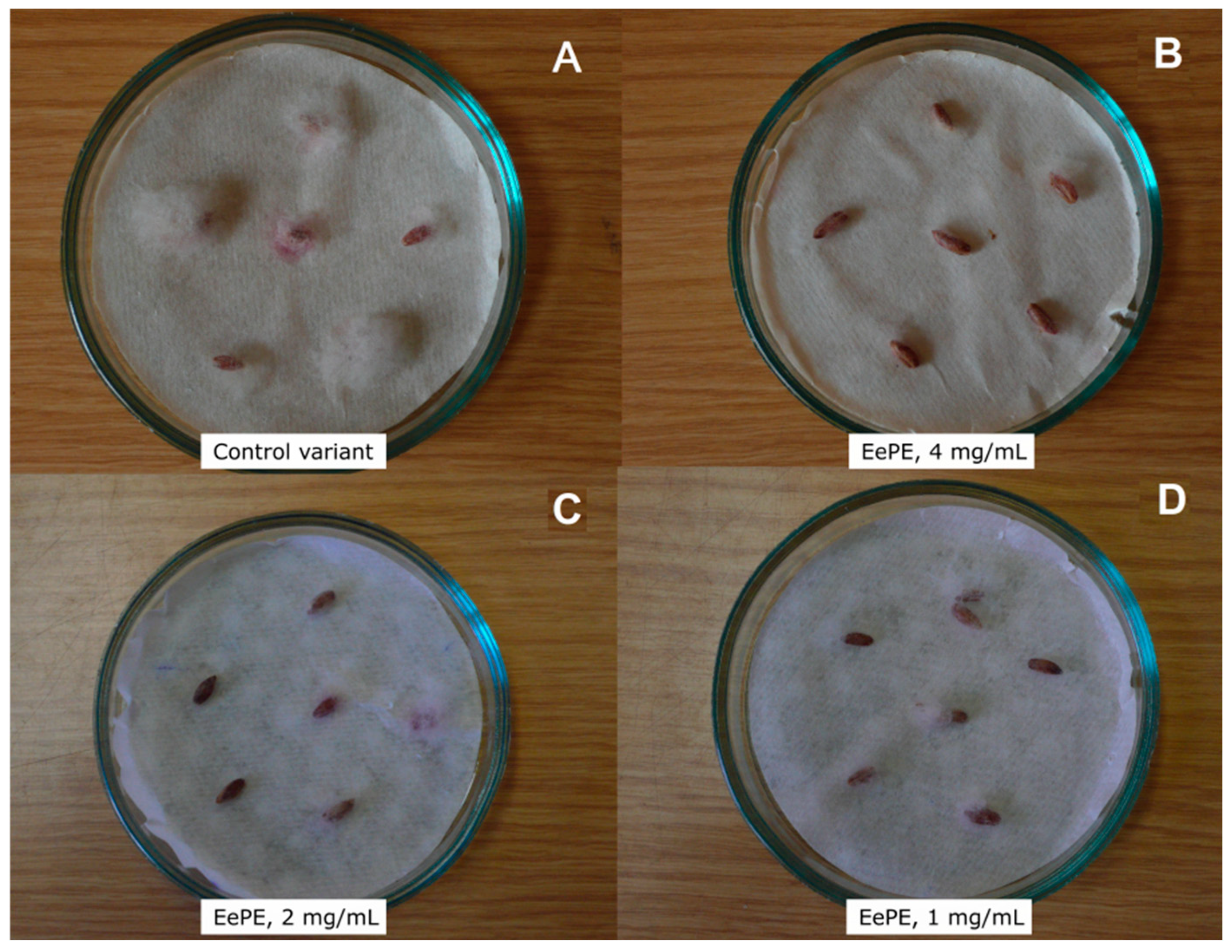 Plants 13 02459 g001