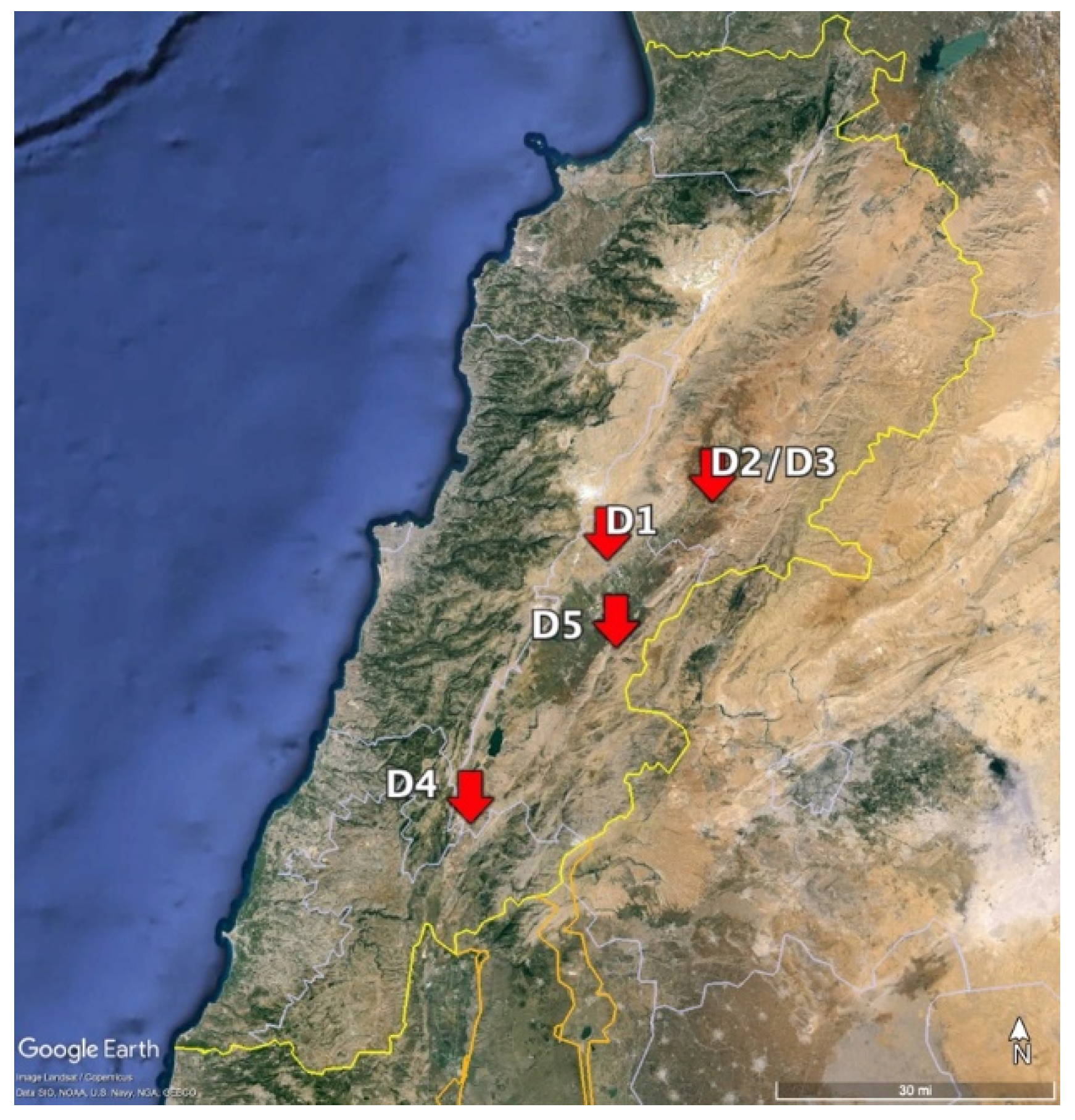 Plants 13 02460 g005 Plants 13 02460 g005