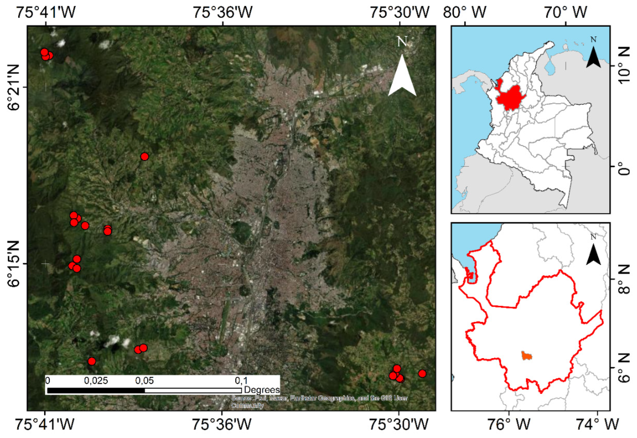 Plants 13 02474 g004