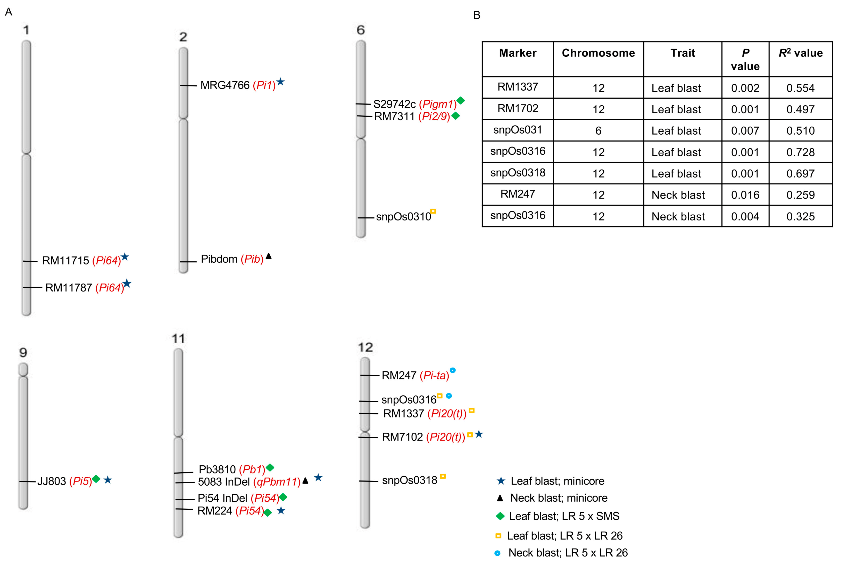 Plants 13 02475 g005