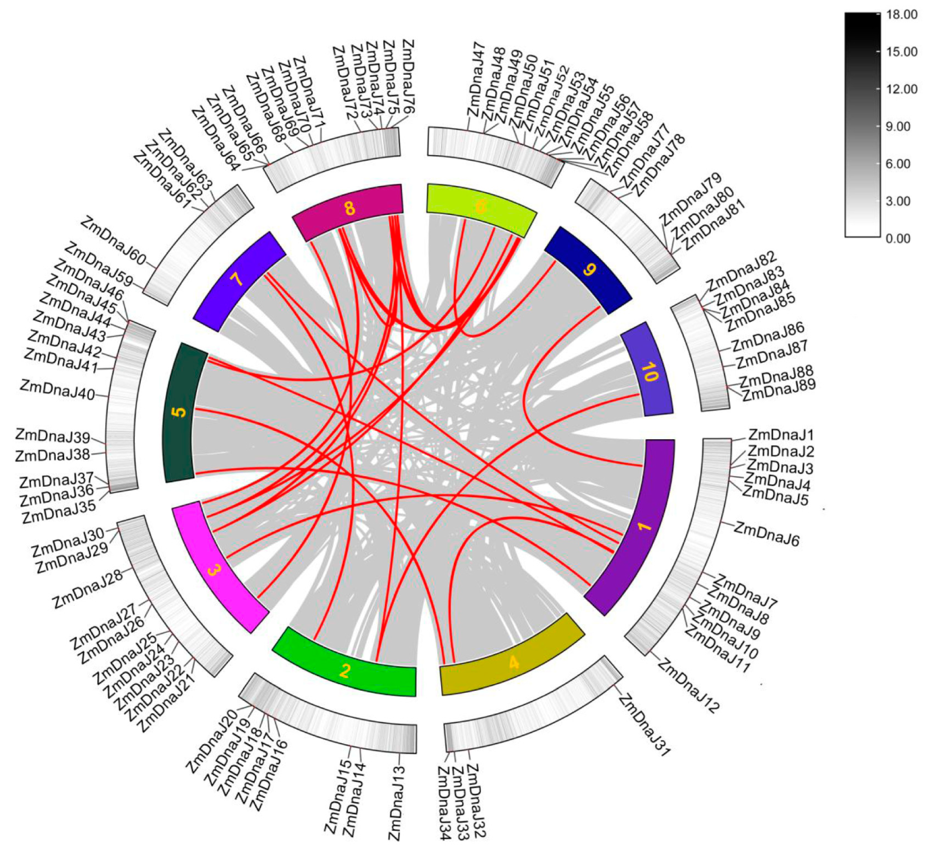 Plants 13 02488 g003