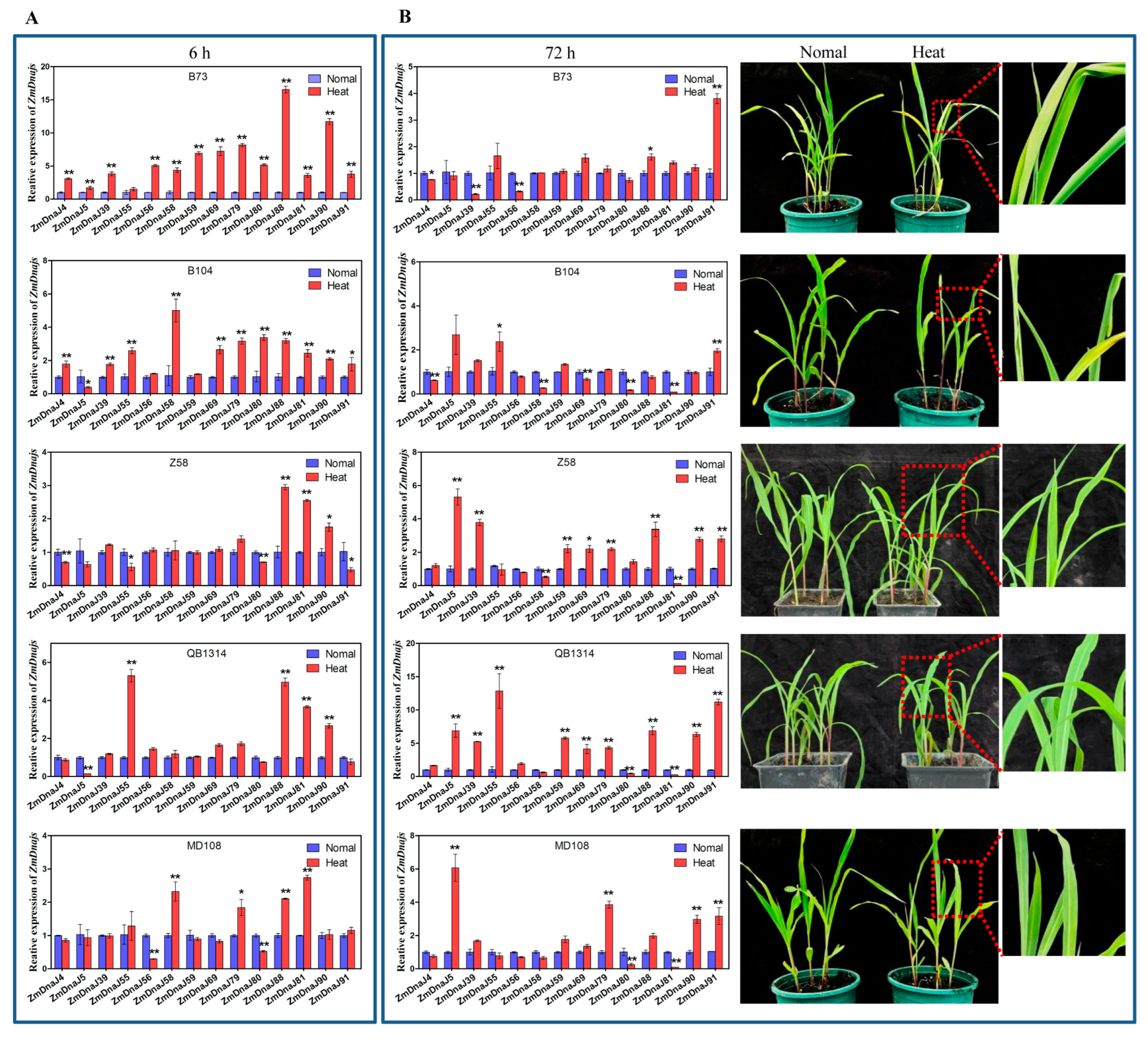 Plants 13 02488 g007