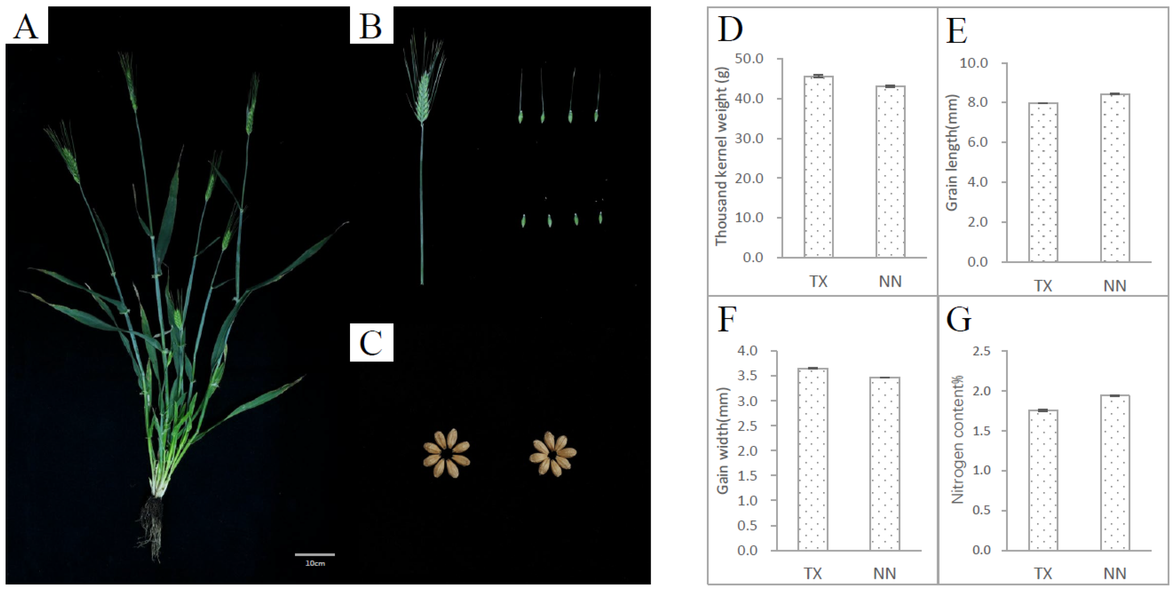 Plants 13 02490 g001