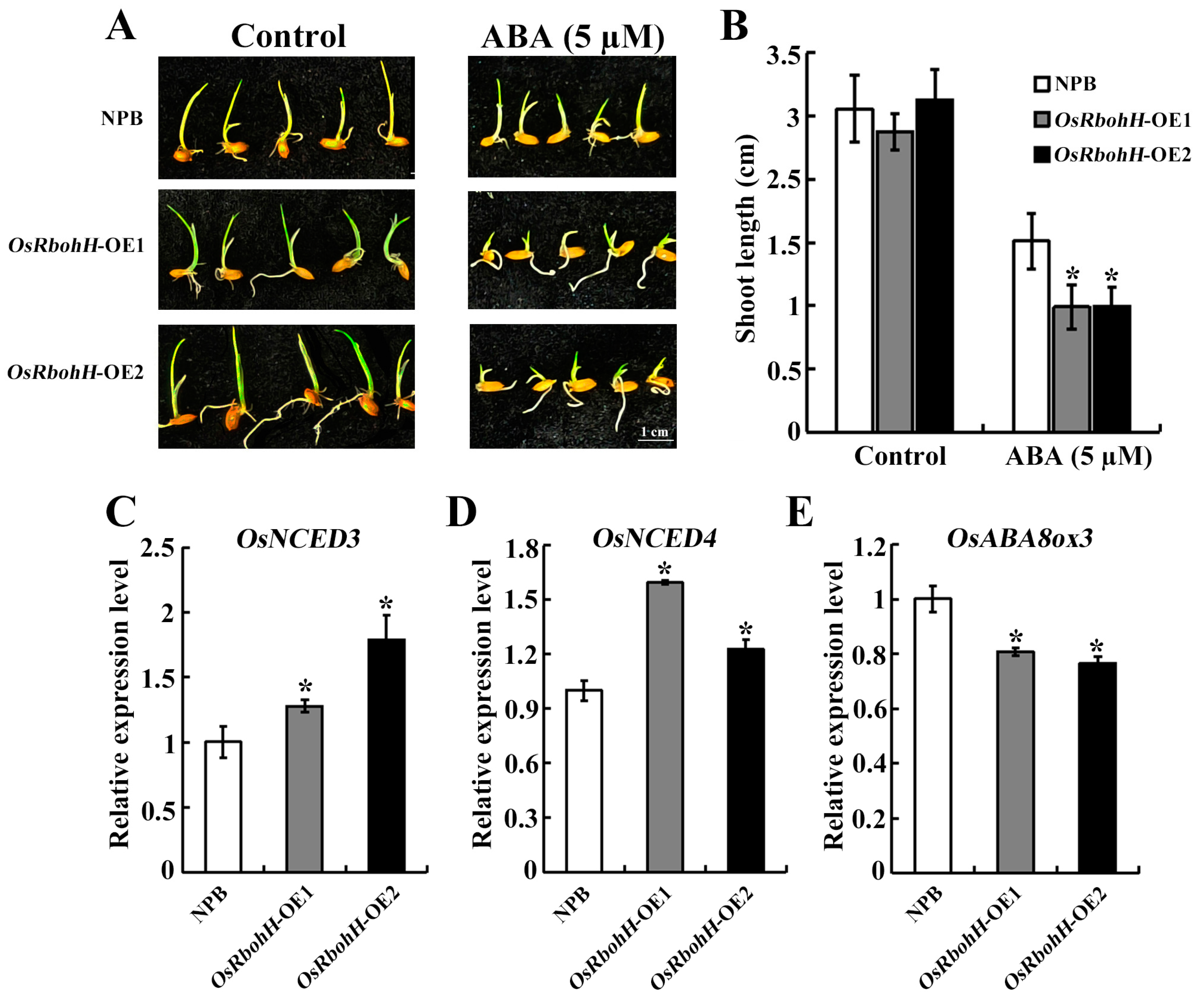 Plants 13 02494 g005