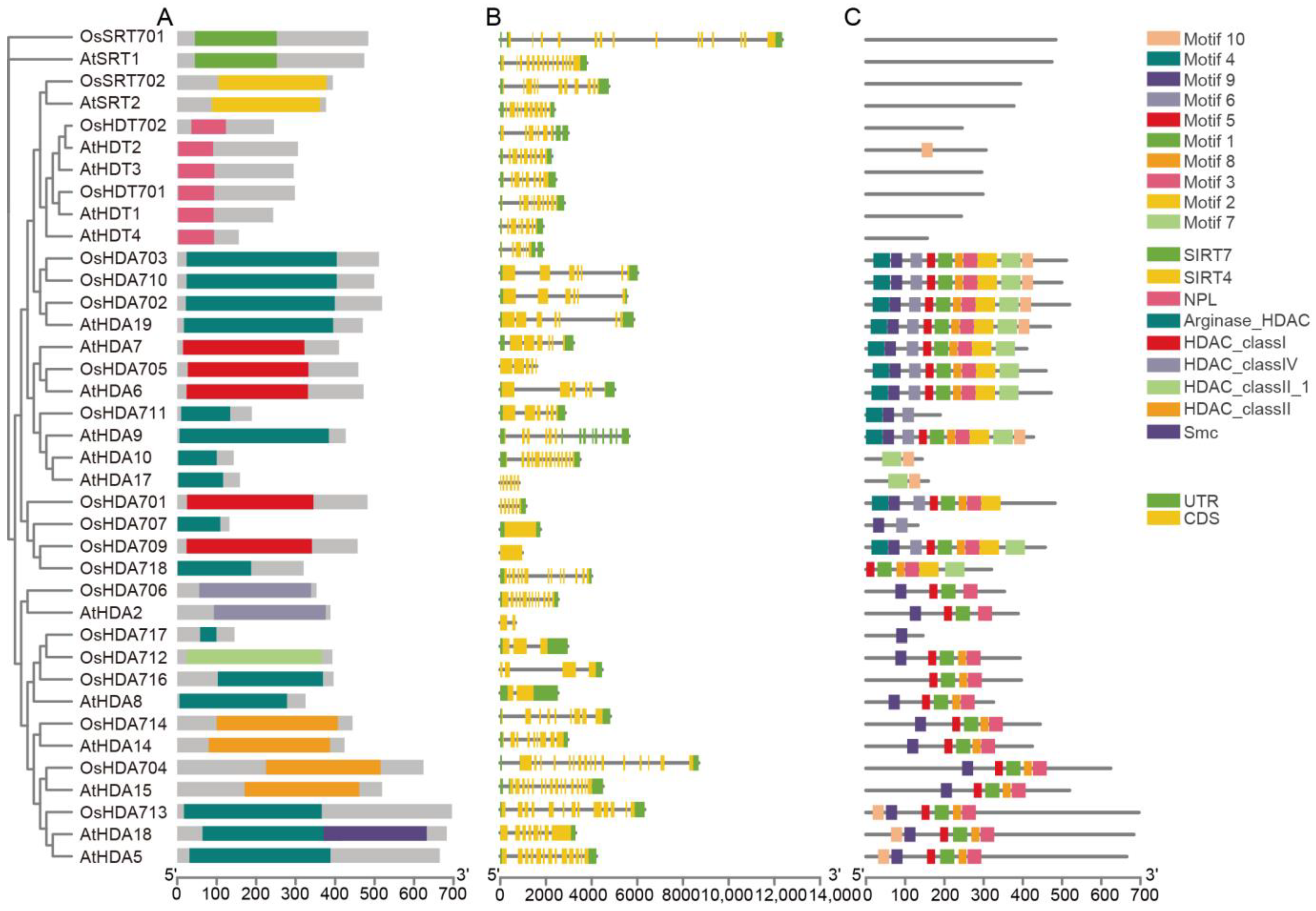 Plants 13 02496 g003