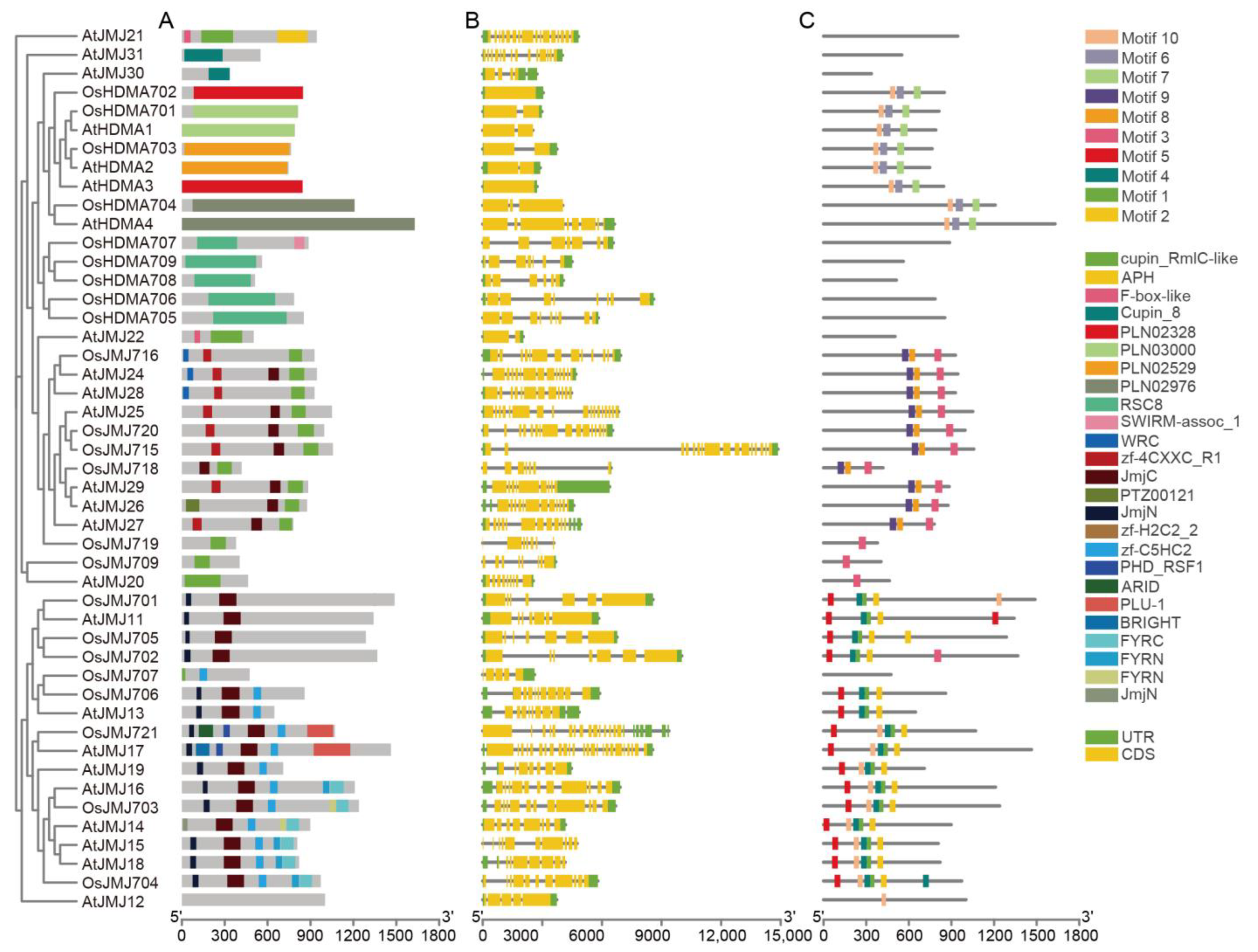 Plants 13 02496 g004