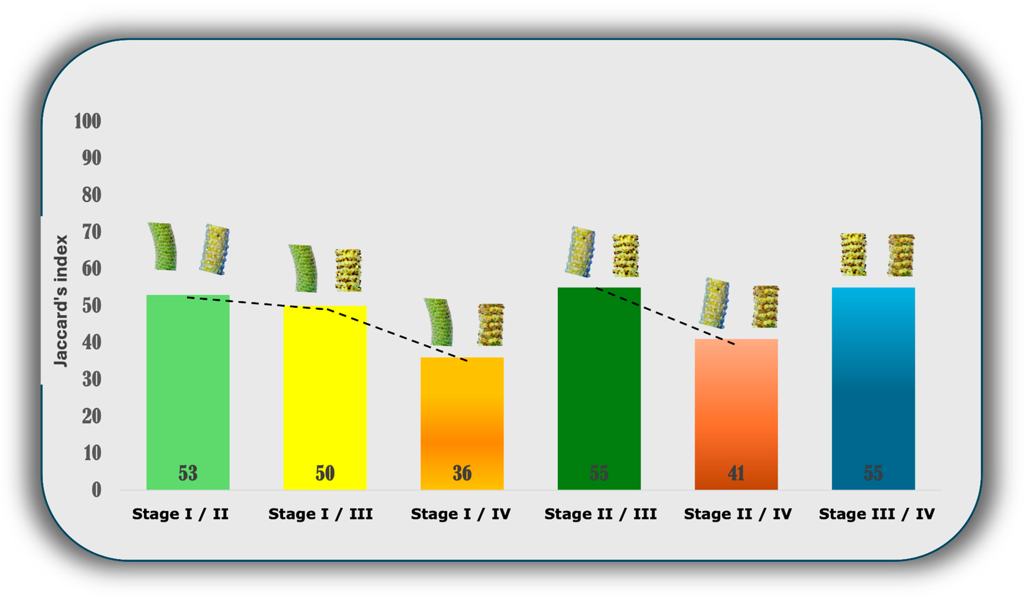 Plants 13 02497 g003 Plants 13 02497 g003