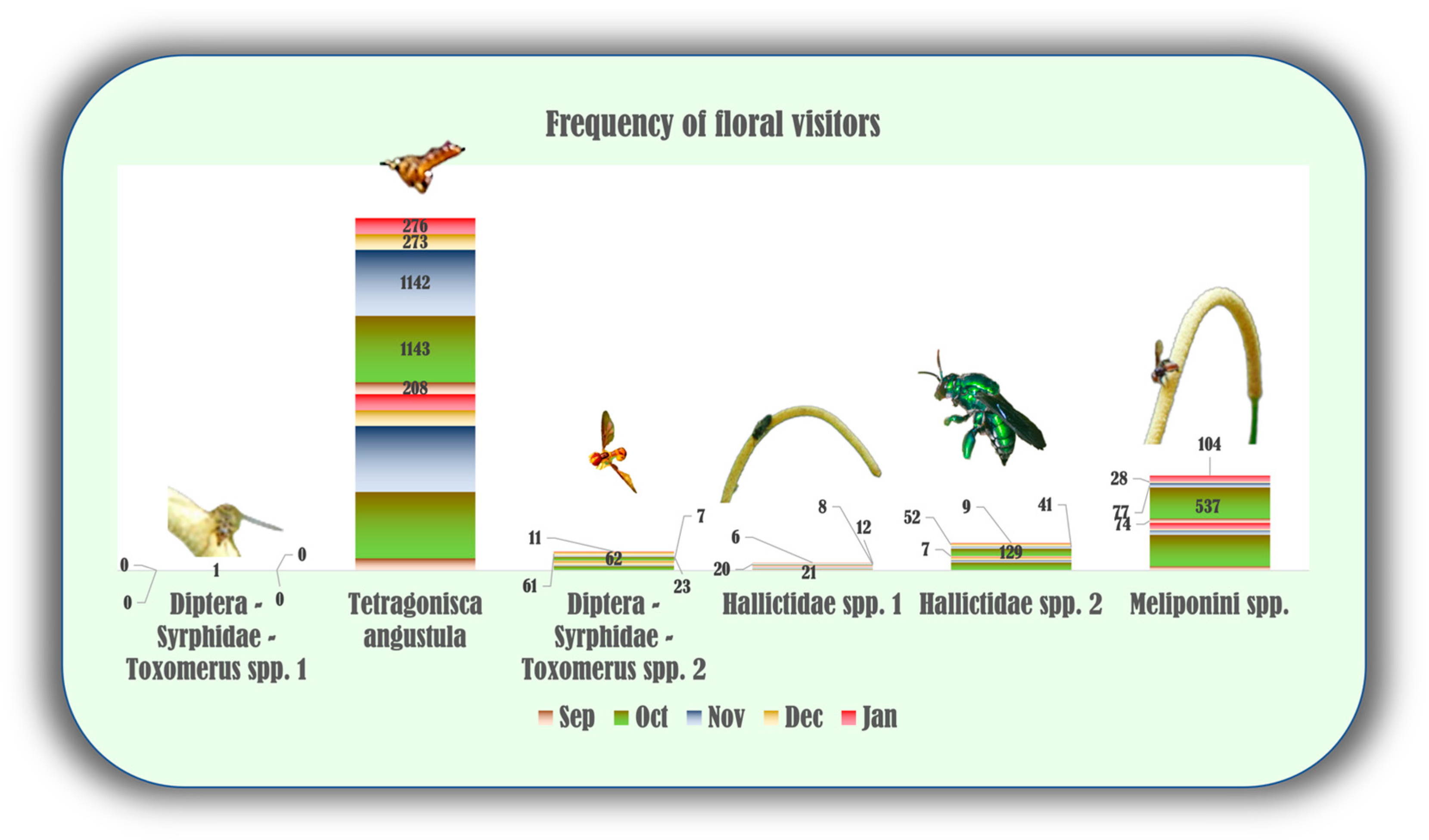 Plants 13 02497 g005 Plants 13 02497 g005