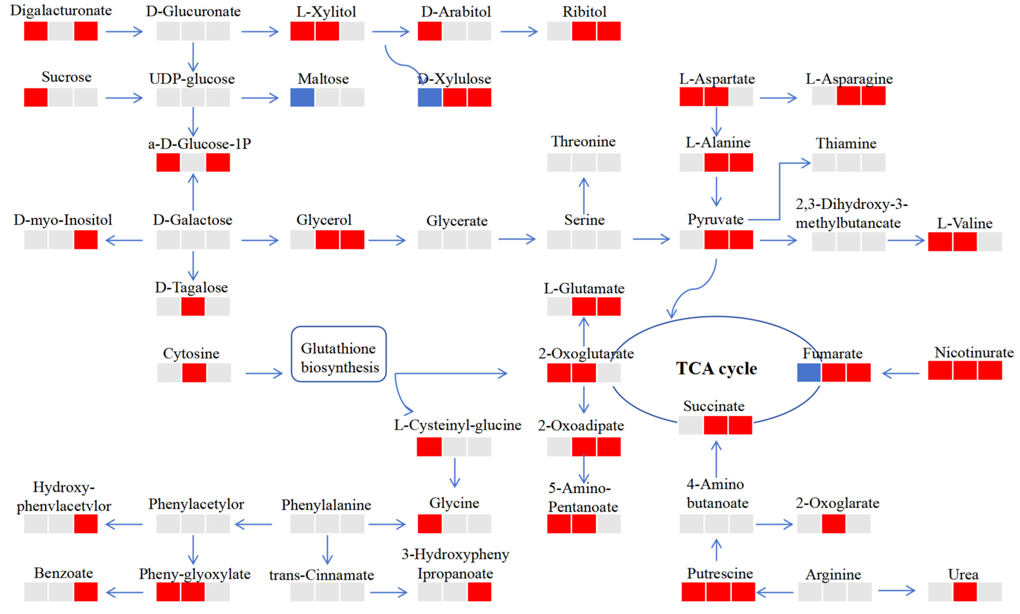 Plants 13 02500 g006