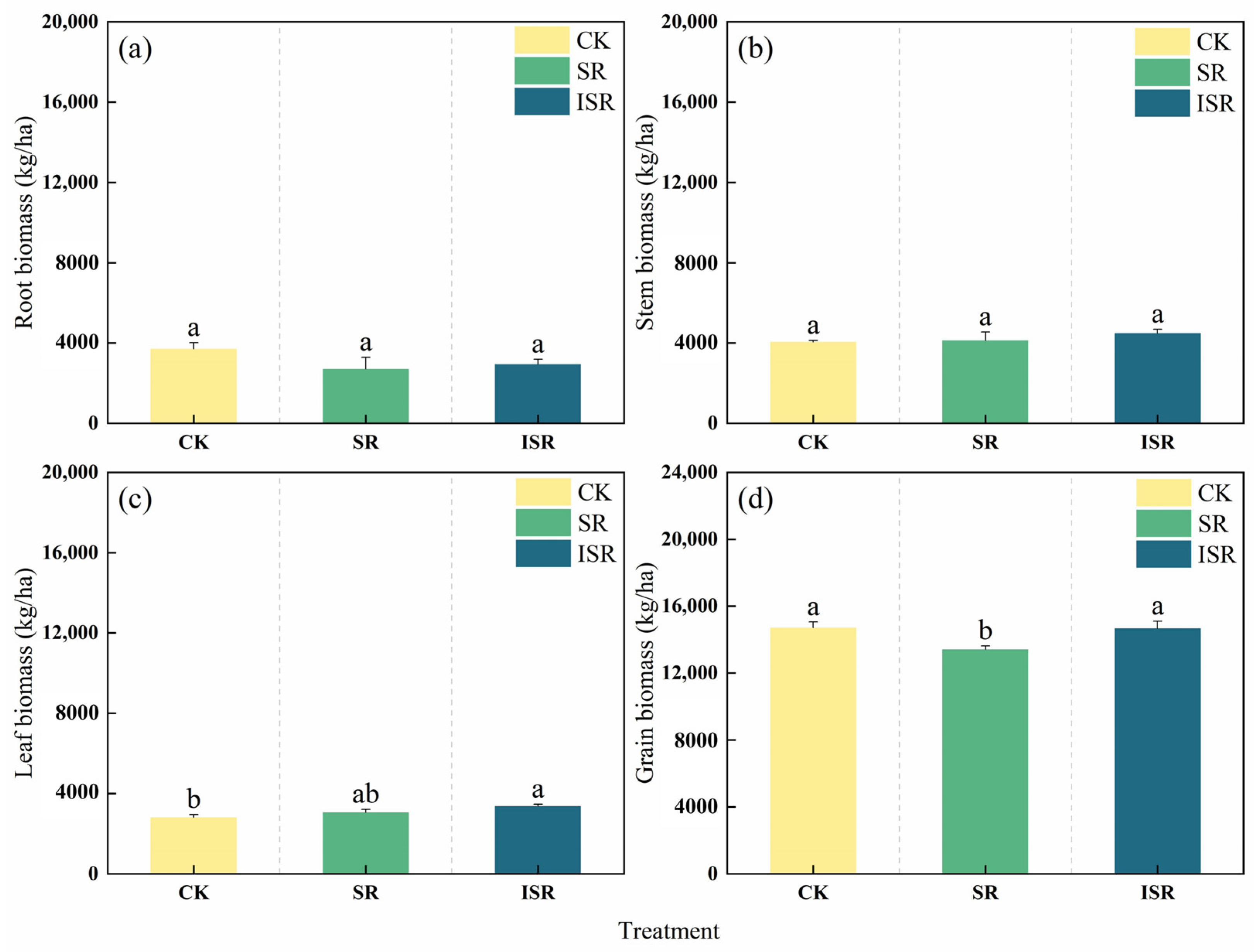 Plants 13 02503 g007
